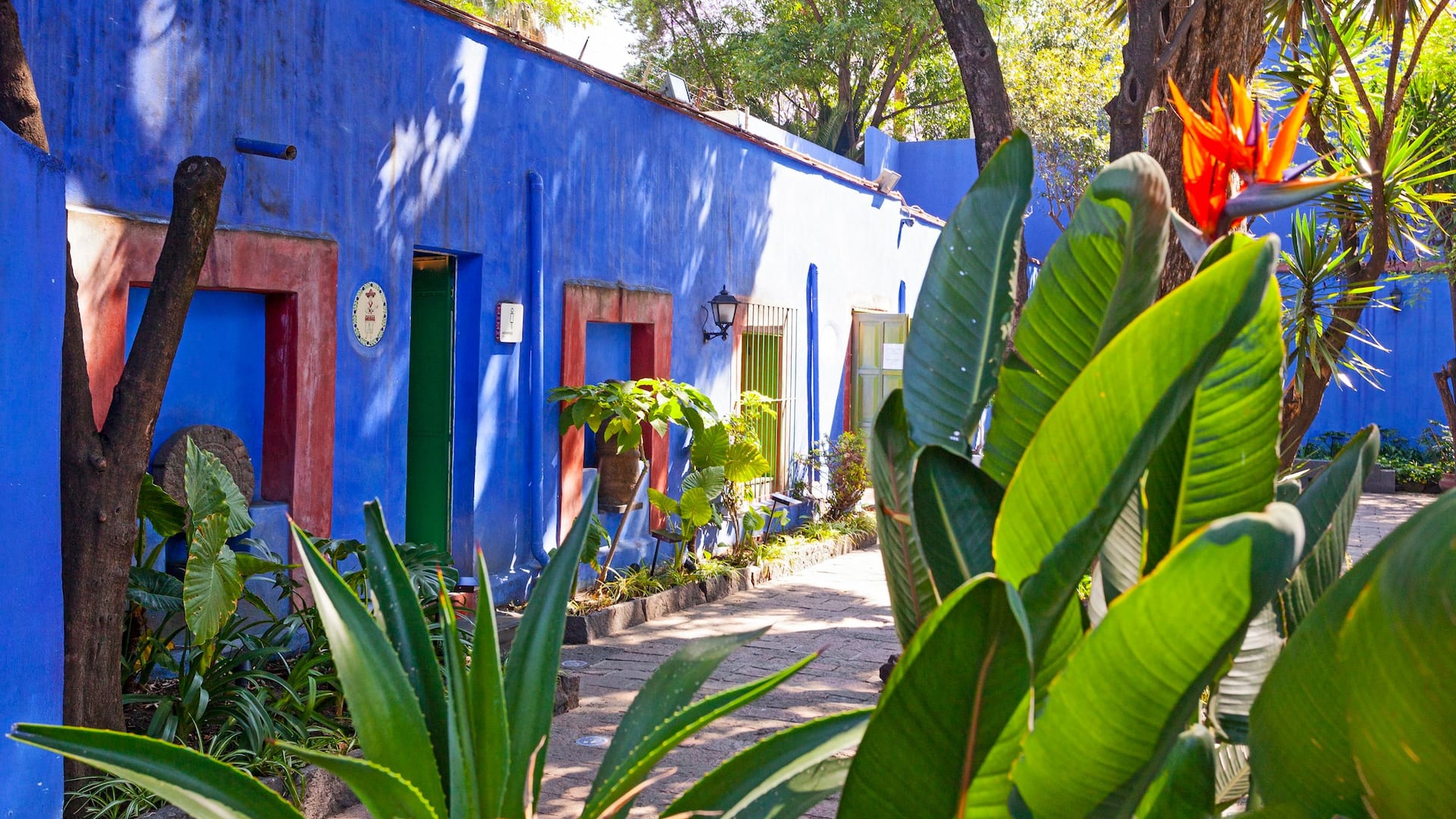 Hyatt Regency Mexico City Insurgentes Museo Frida Kahlo