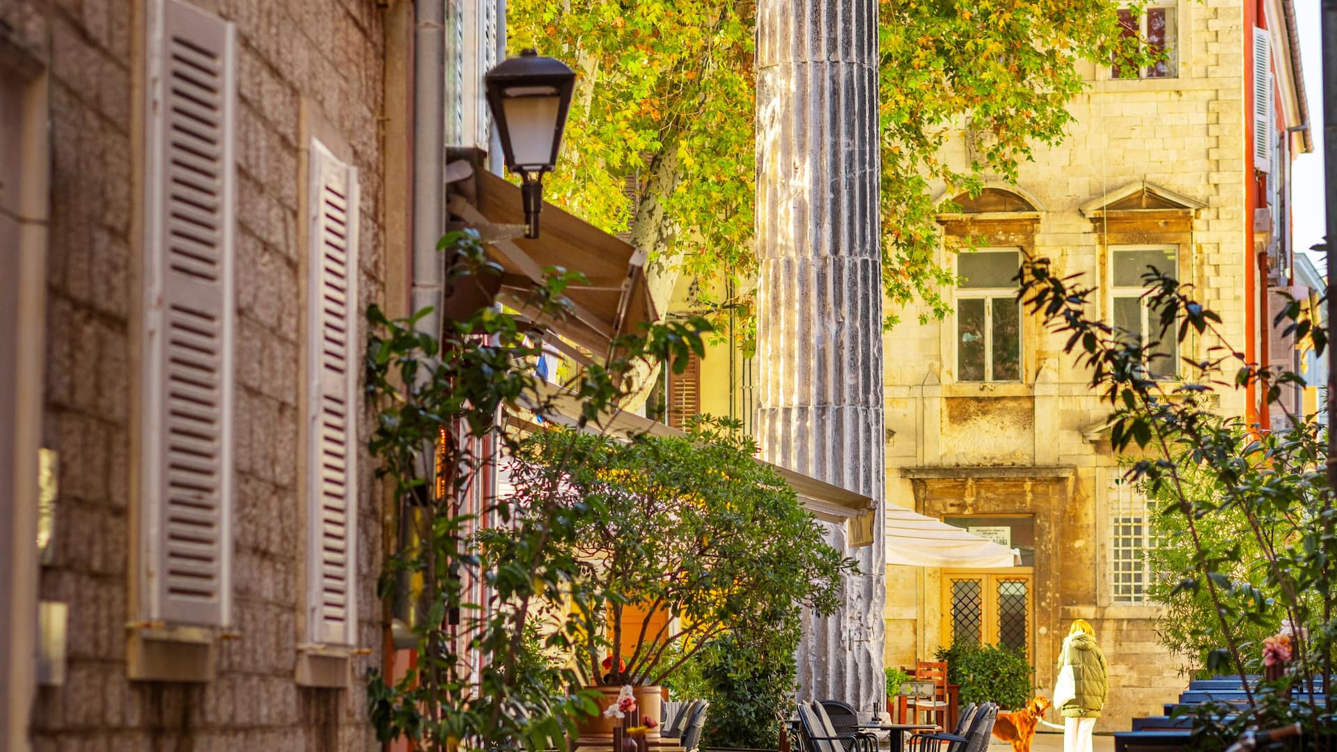 Hyatt Regency Zadar Zadar Street