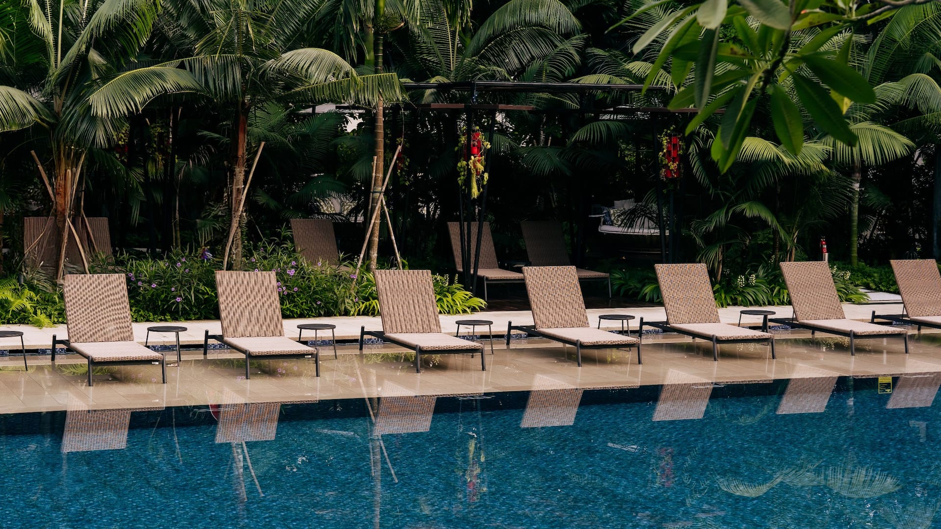 Grand Hyatt Singapore Lounge Chairs By The Pool