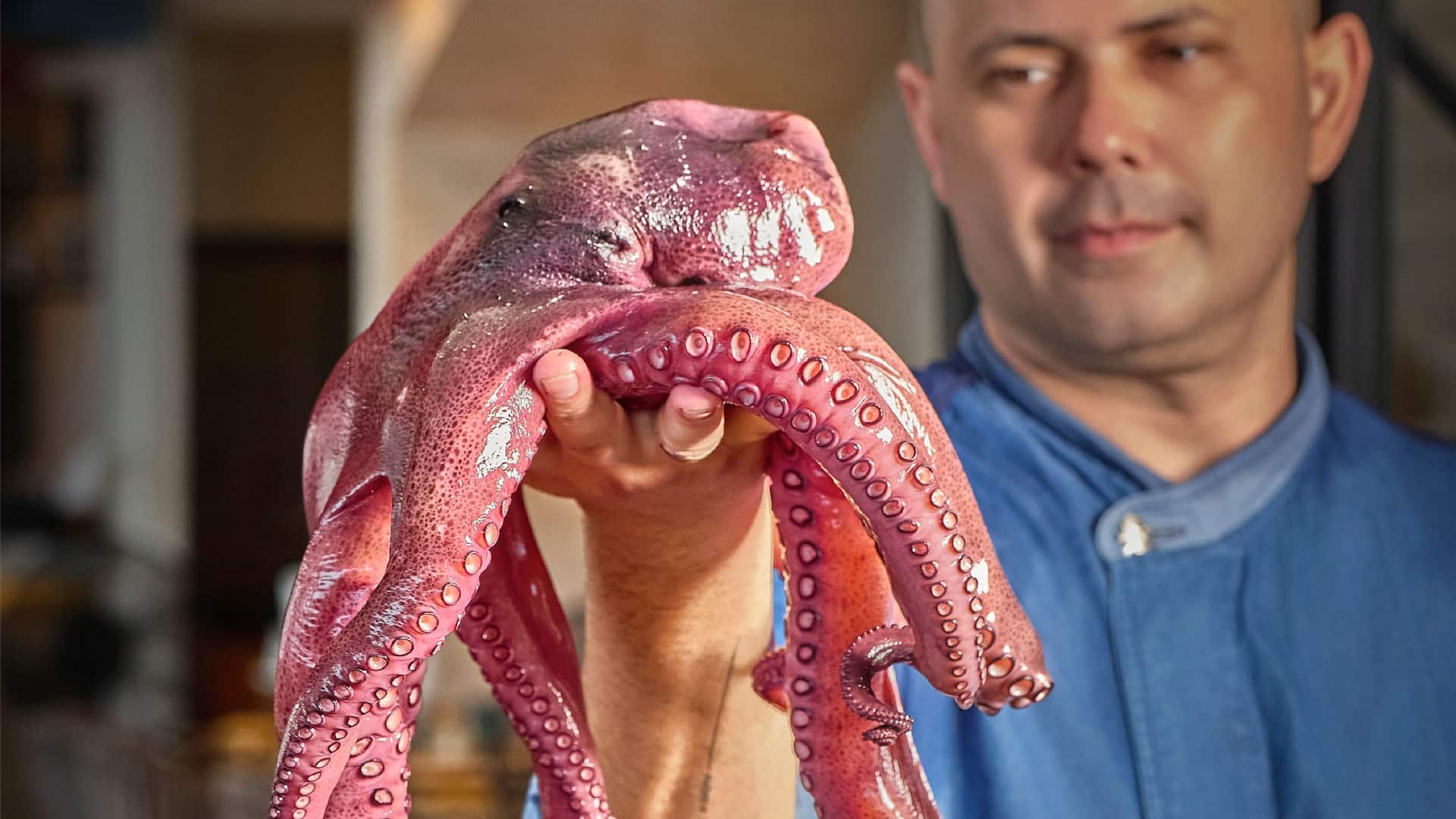 Hyatt Regency Phuket Resort Casa Boho Chef Is Holding Octopus