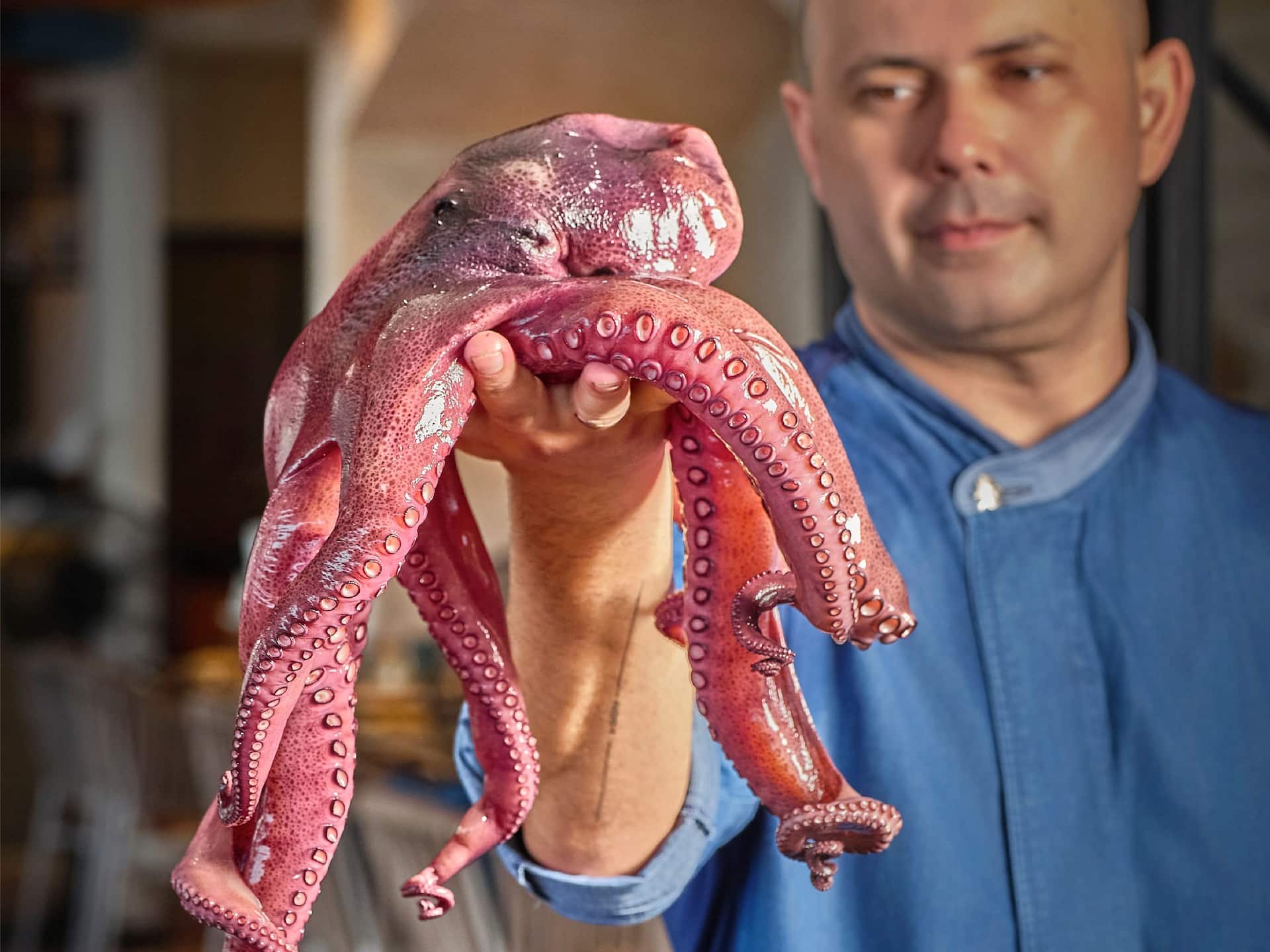 Hyatt Regency Phuket Resort Casa Boho Chef Is Holding Octopus