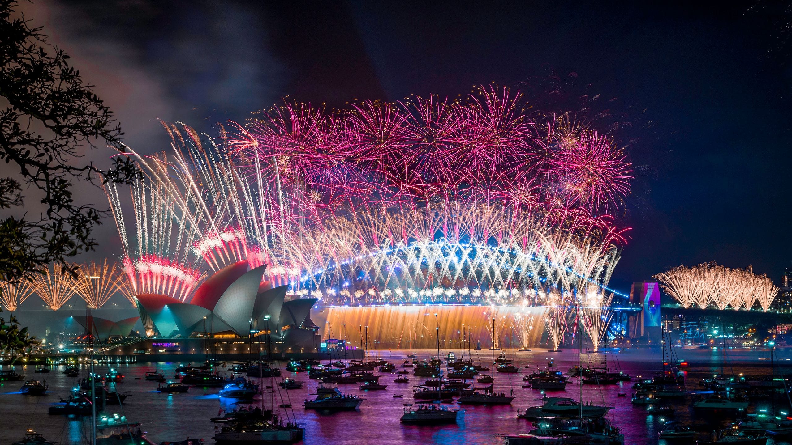 Park Hyatt Sydney Sydney Fireworks Seaside