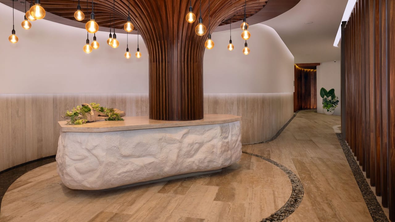 Pure Spa Reception