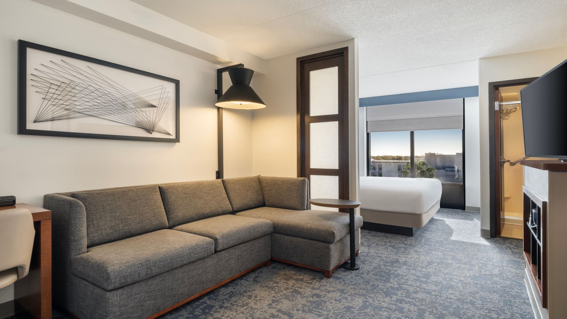 Hyatt Place Lakeland Center Specialty King Sofa Bed