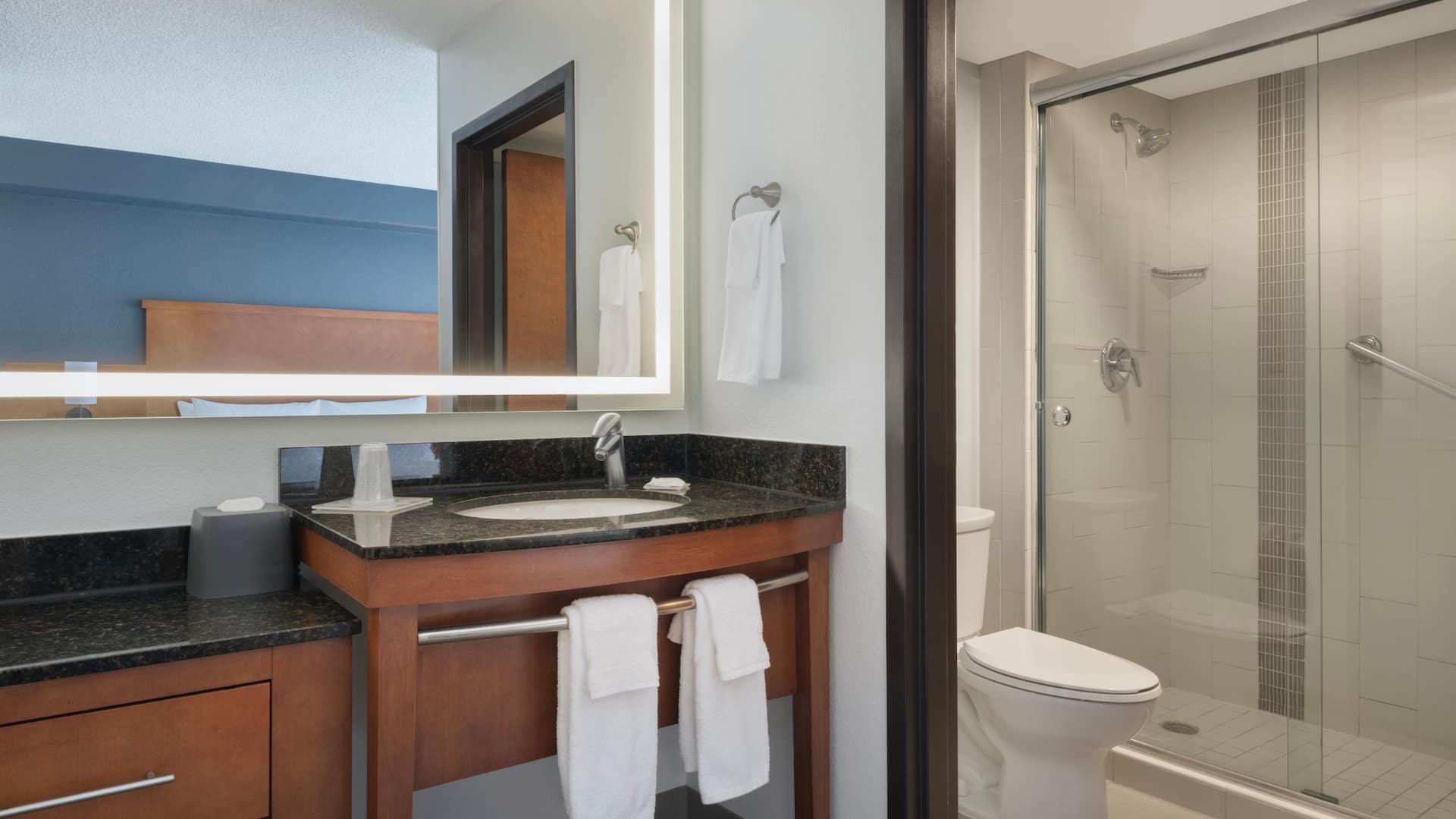 Hyatt Place Tampa/Busch Gardens Guest Bathroom Shower And Toilet