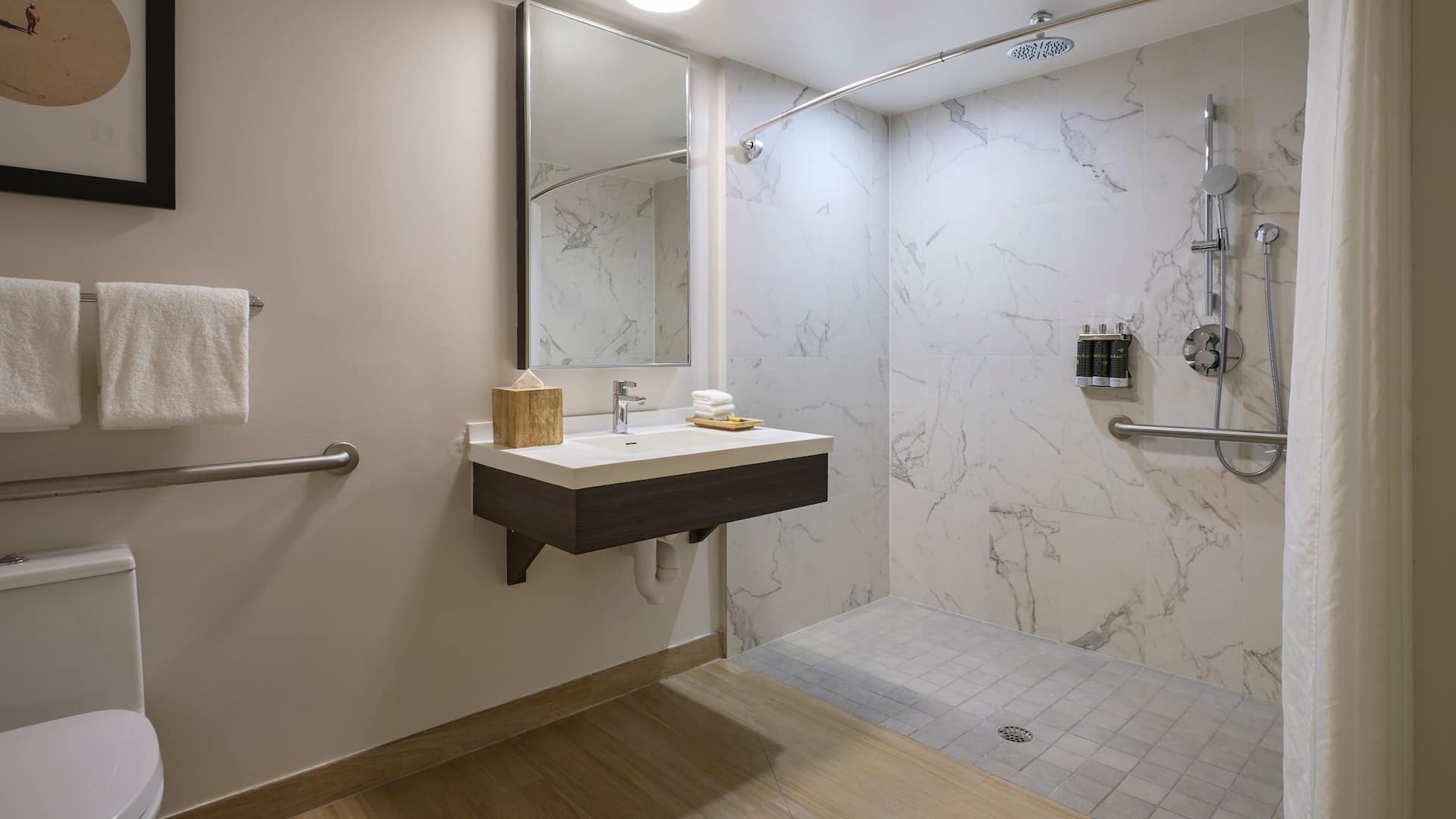 5 of 5 Hyatt Centric South Beach Miami Accessible Roll In Shower