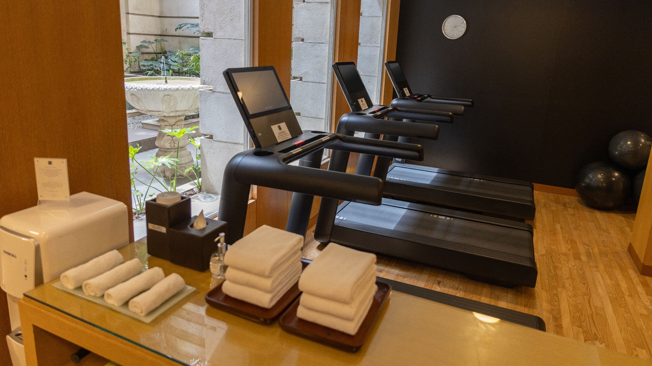 Palacio Duhau - Park Hyatt Buenos Aires Treadmill Side View