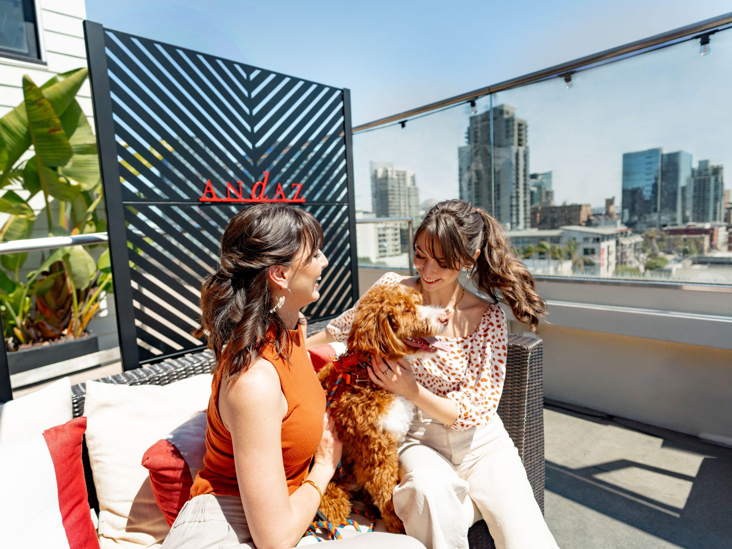 Andaz San Diego Guests On Rooftop With Dog