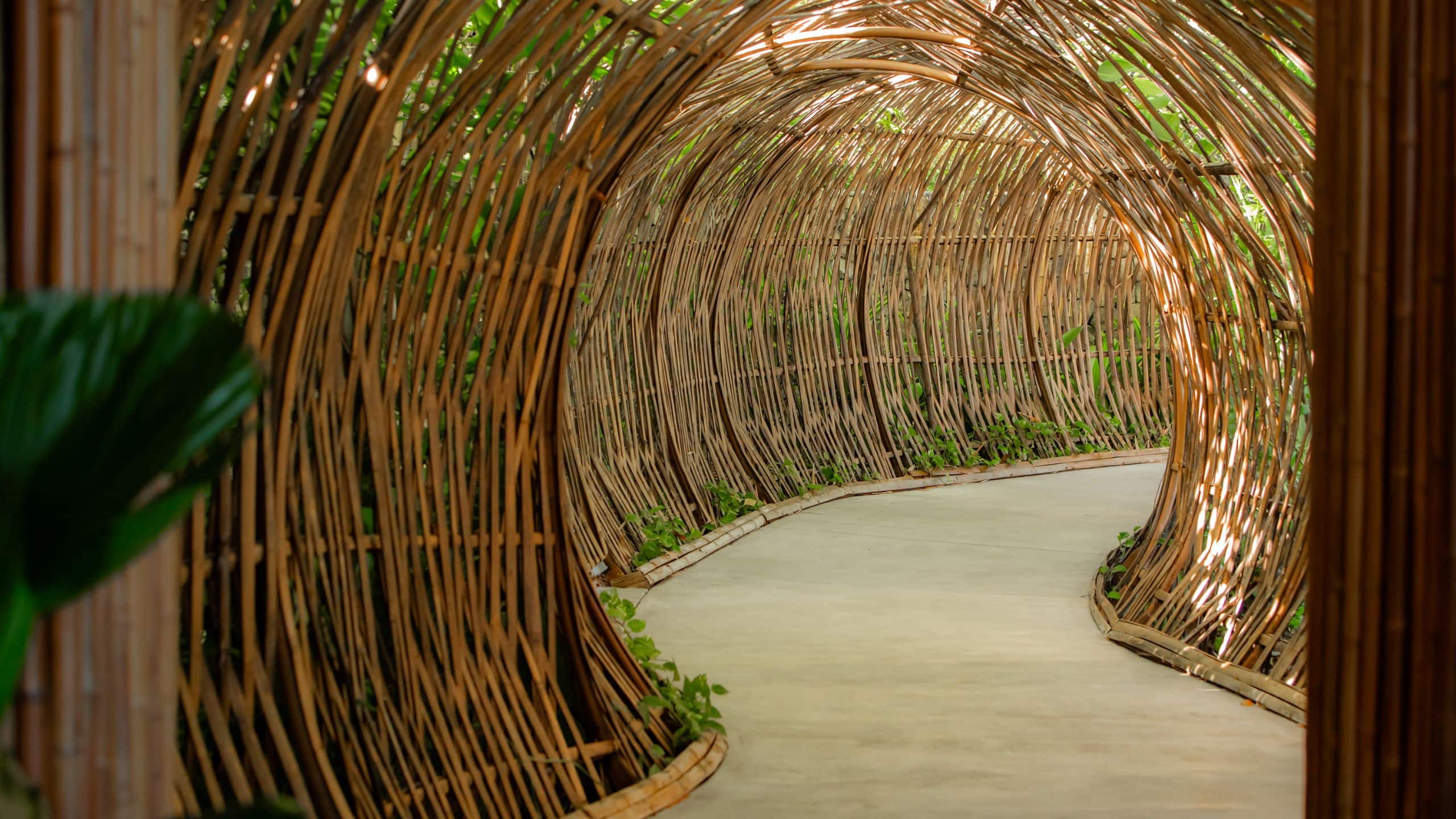 Andaz Peninsula Papagayo Resort, Costa Rica Ostra Main Entrance