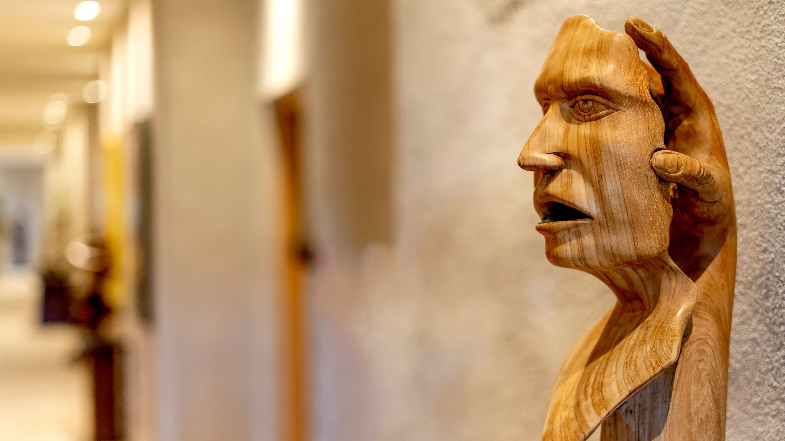 Hotel La Compañia del Valle Head In Wood