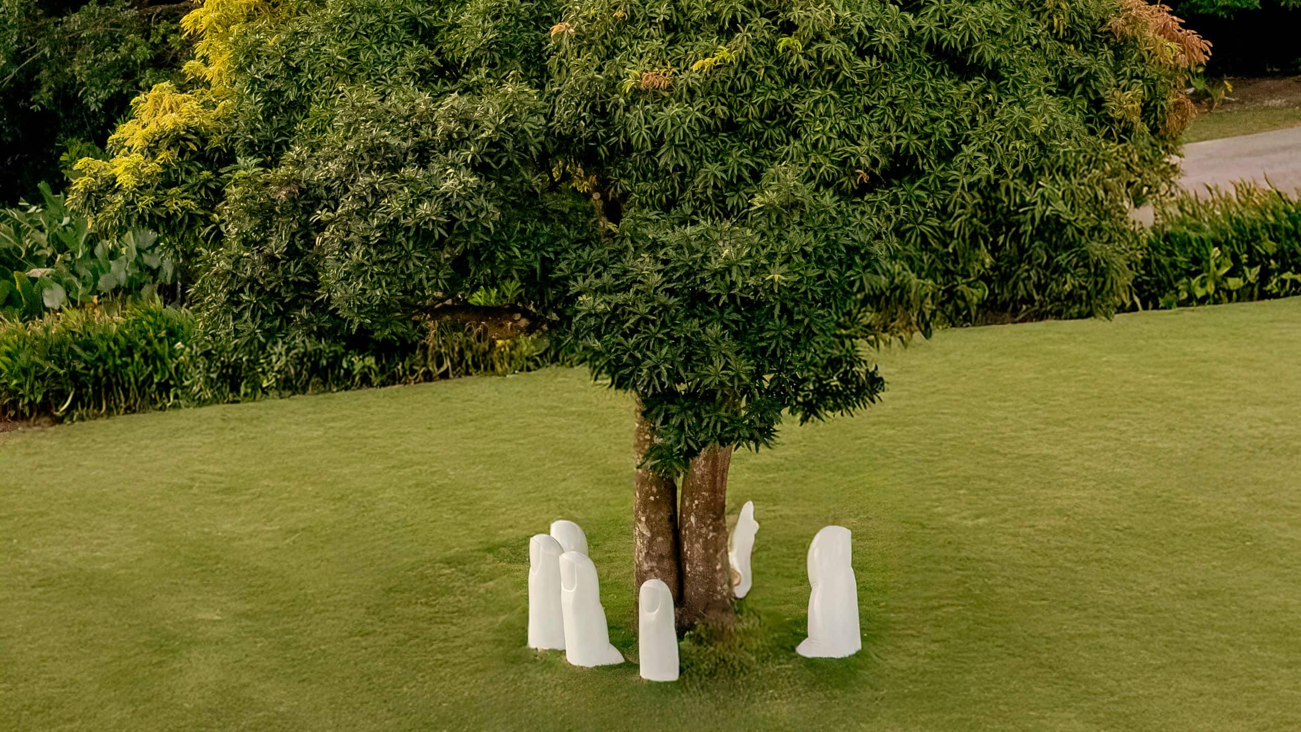 Hotel La Compañia del Valle Del Valle Tree