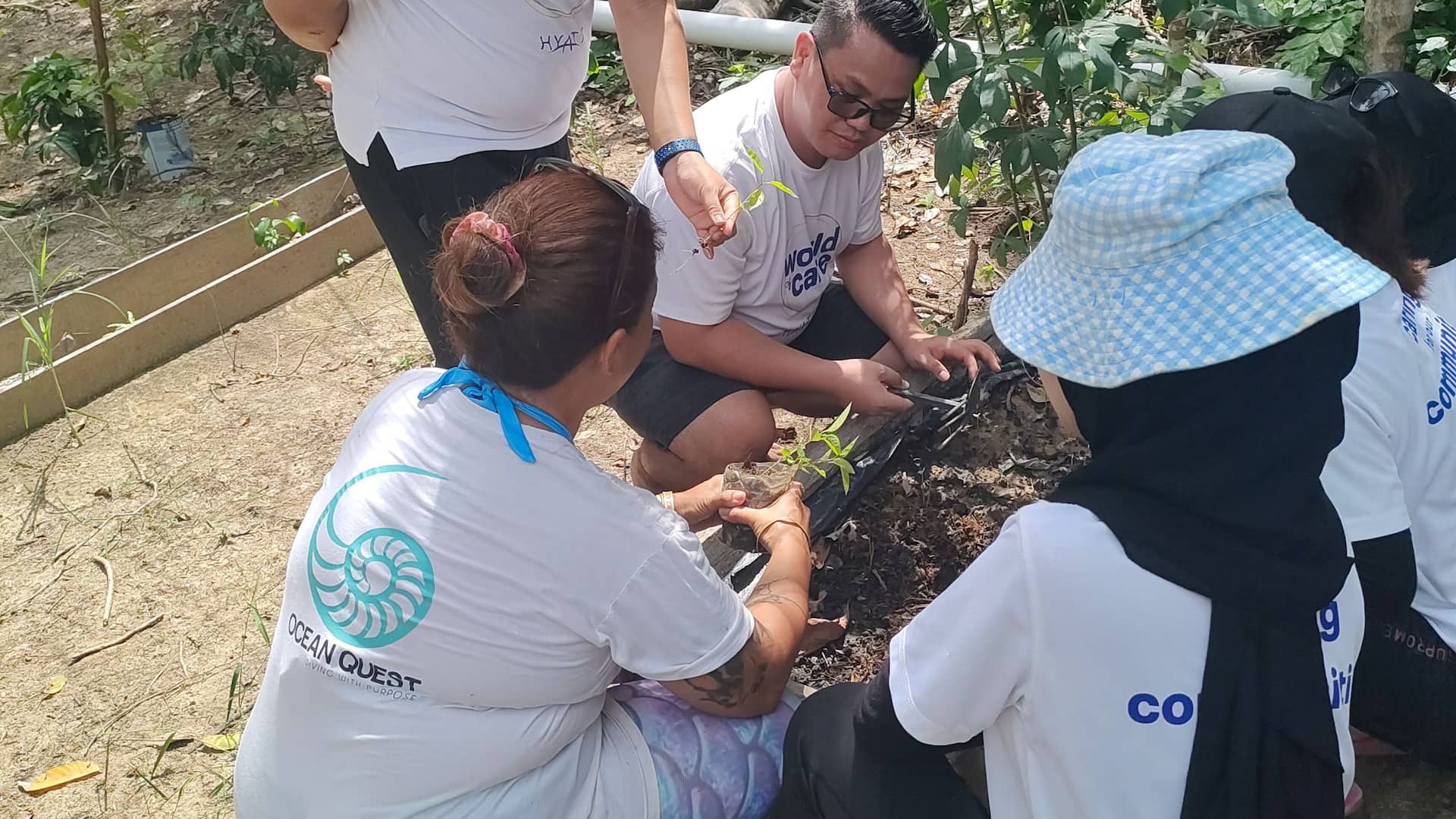 Hyatt Regency Kinabalu Colleagues Trees Planting