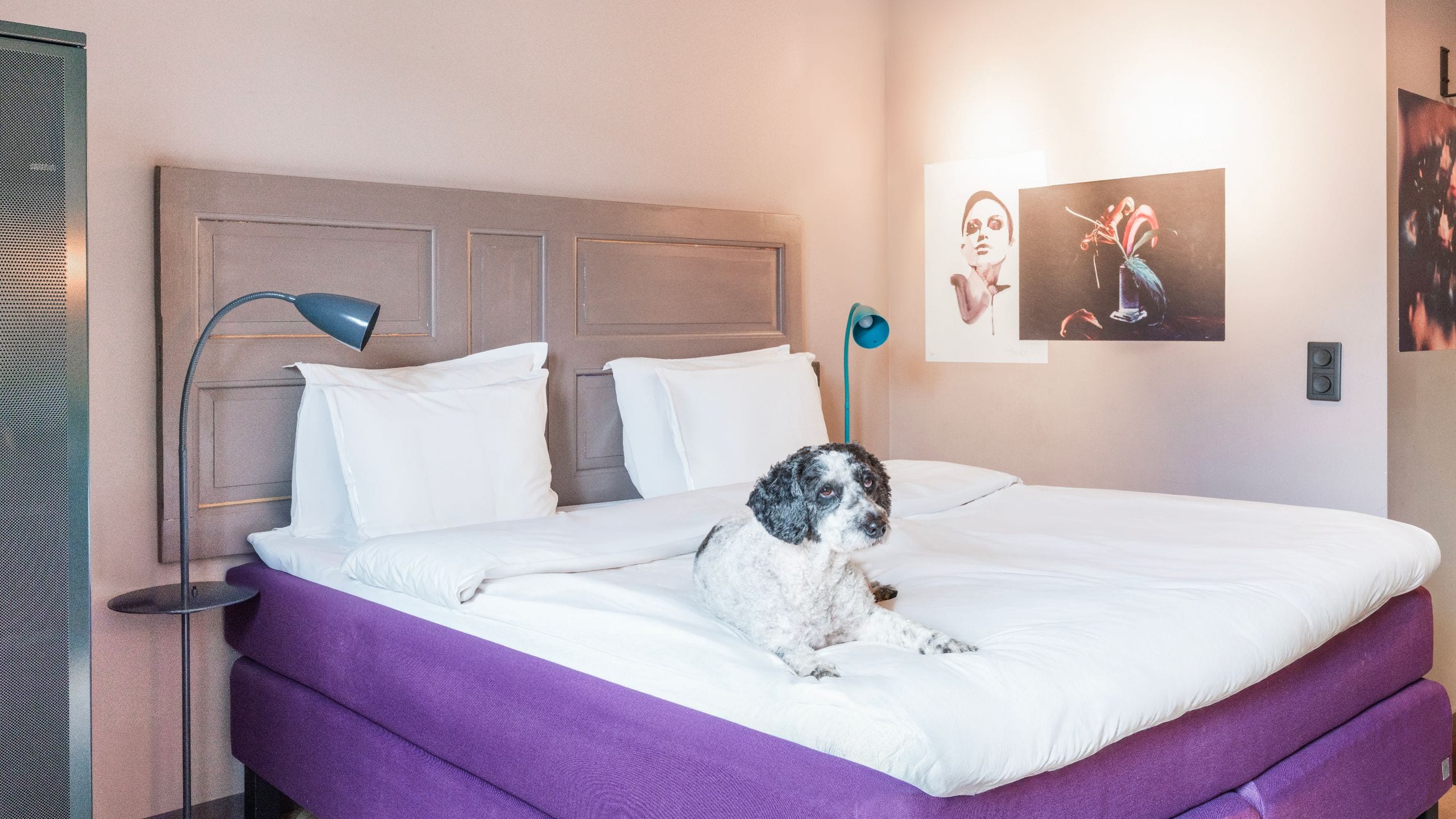 3 von 9 Story Hotel Signalfabriken King Bed Room Dog On Bed