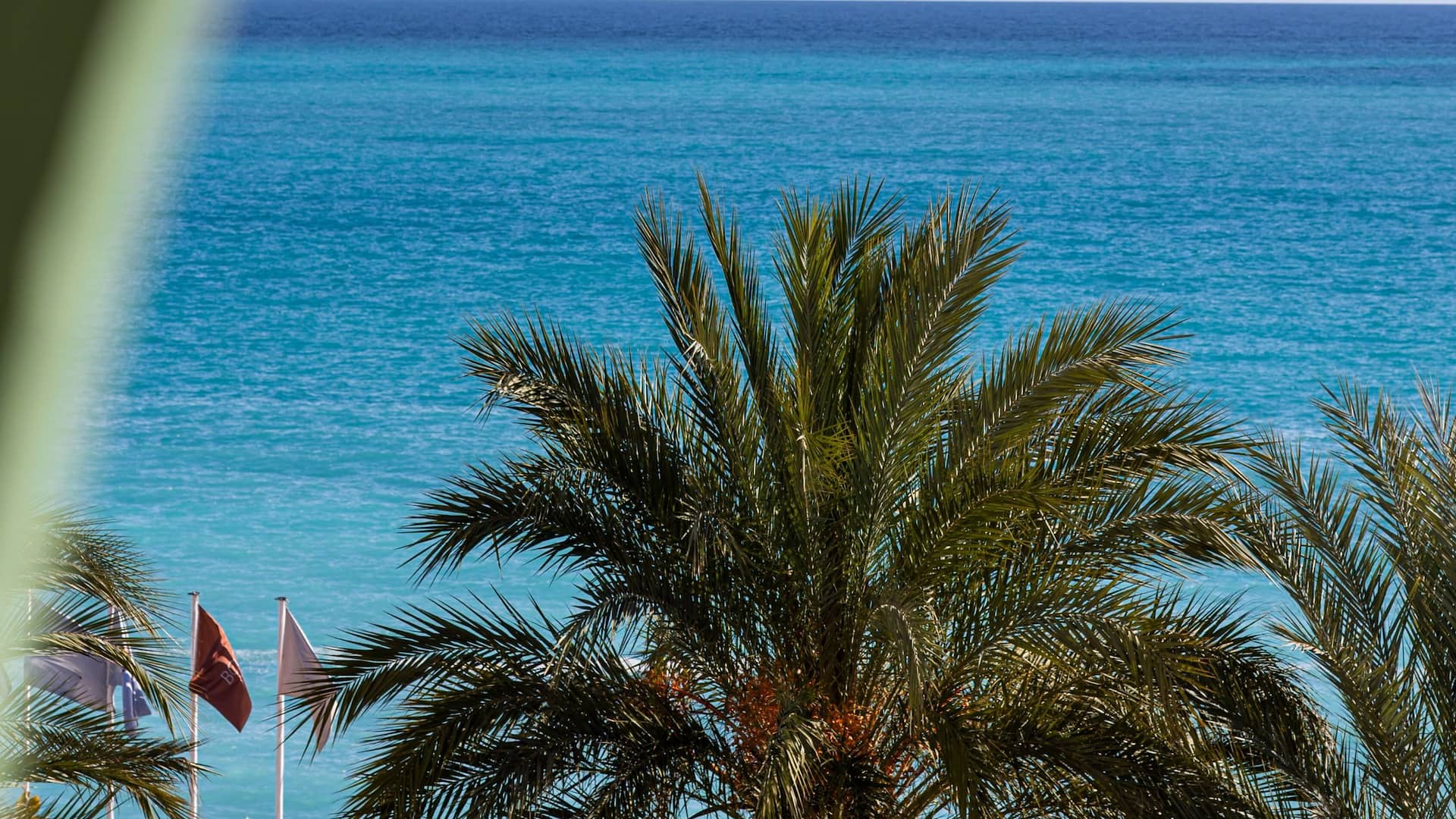 Hyatt Regency Nice Palais de la Méditerranée Ocean View