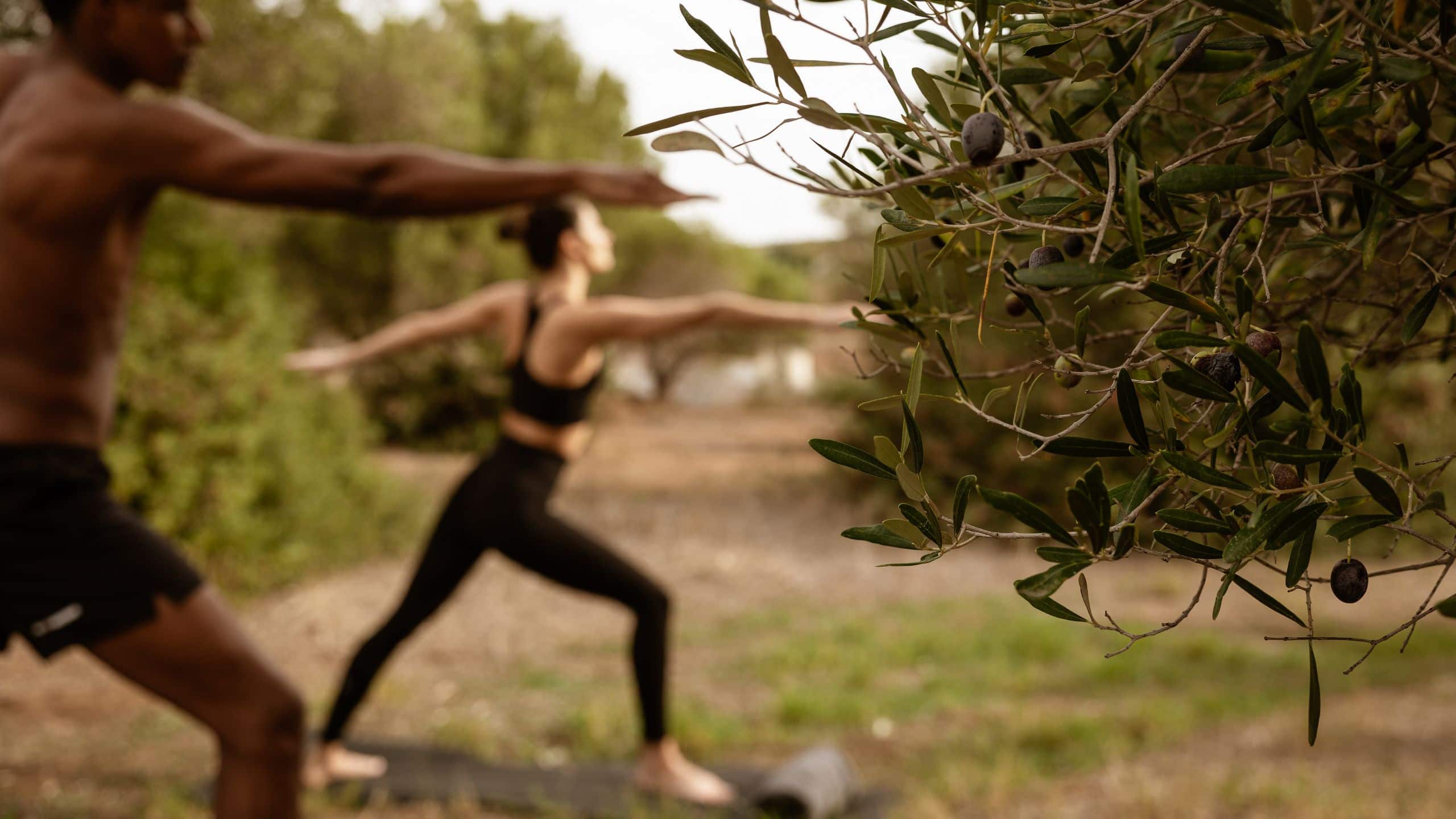 Zelia Halkidiki Yoga Practice Amongs The Olive Trees