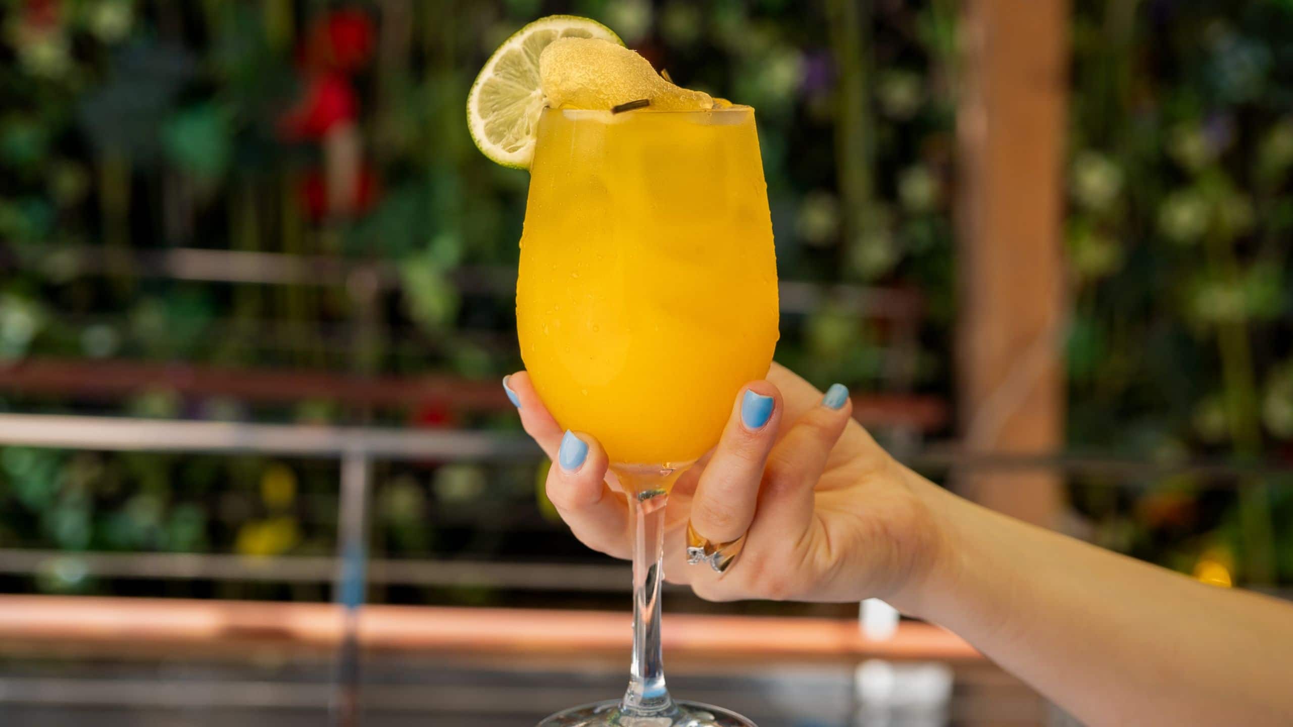 Dream Downtown Beach Cocktail