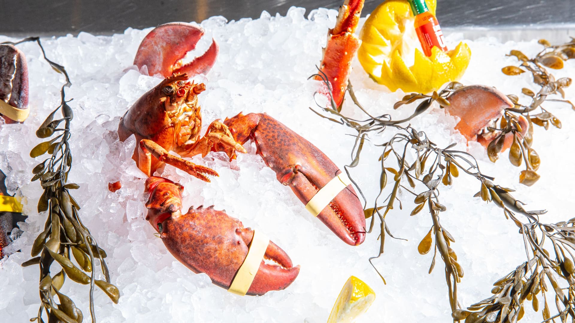 Hyatt Regency New Orleans Raw Bar With Lobster