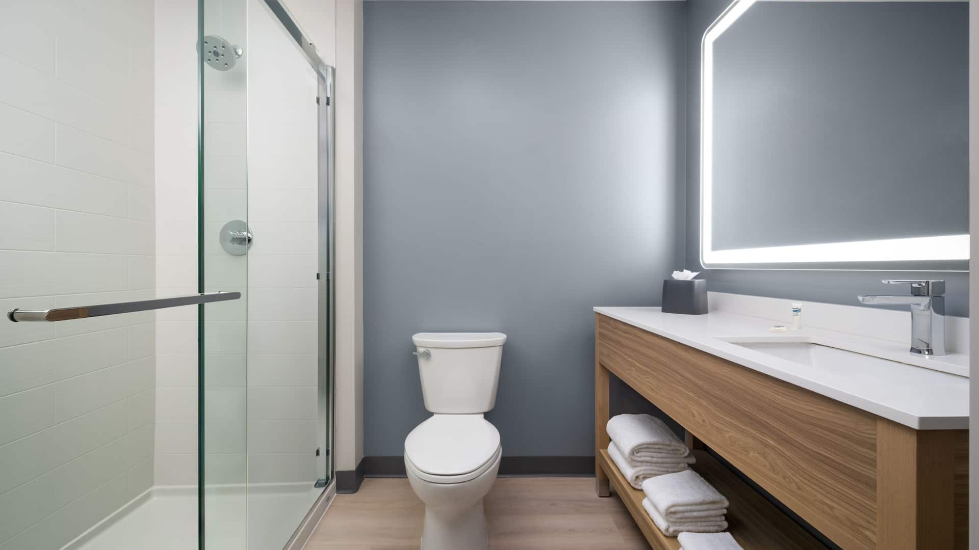 Hyatt Studios Mobile / Tillmans Corner Standard Bathroom Shower
