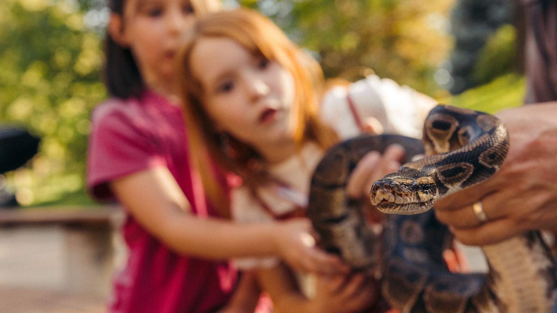 Hyatt Place Billings Zoo Montana