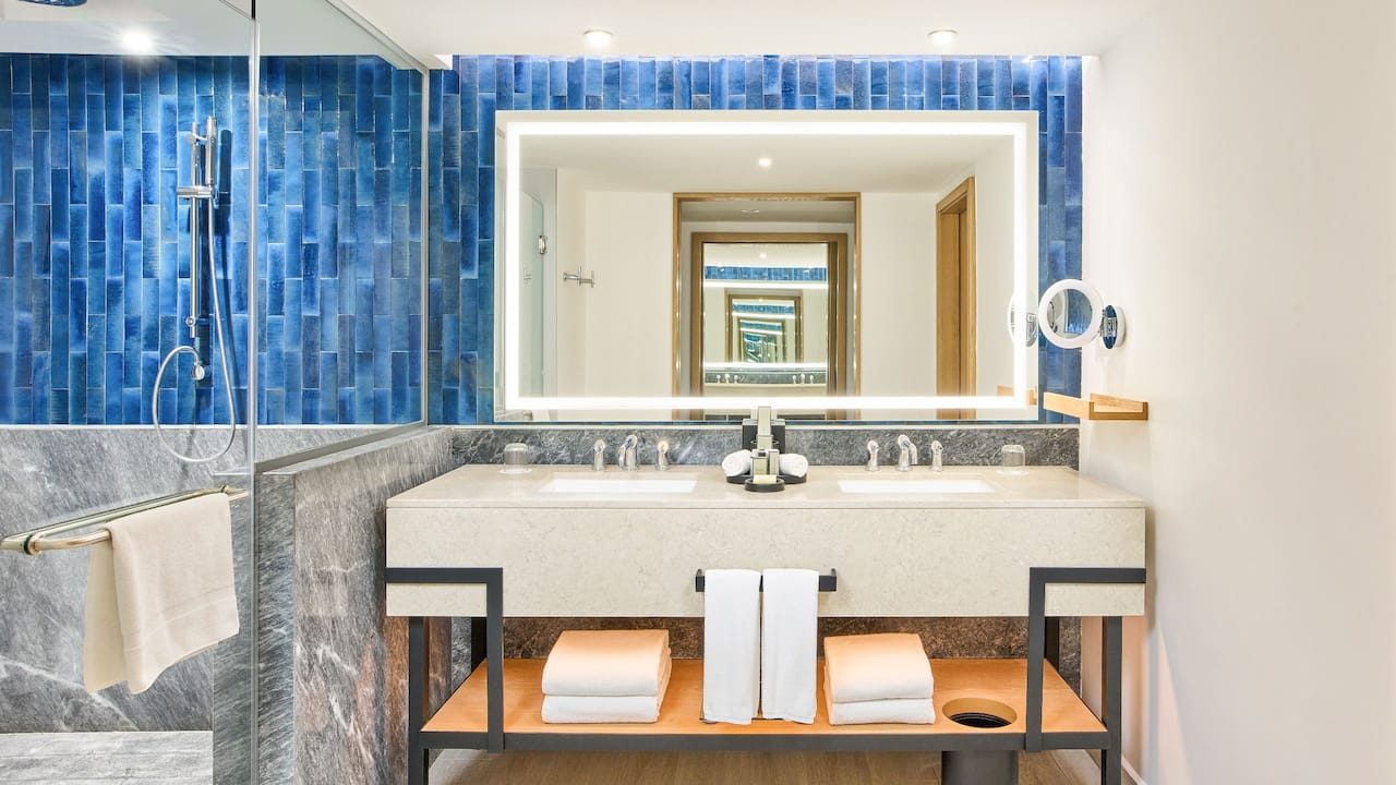 Master Double King Room Bathroom Sink