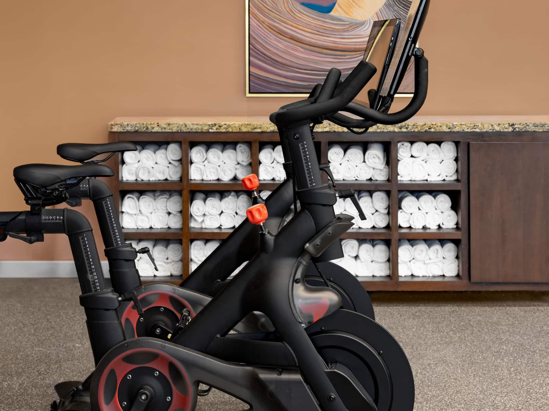 Grand Hyatt Scottsdale Resort Gym Bikes