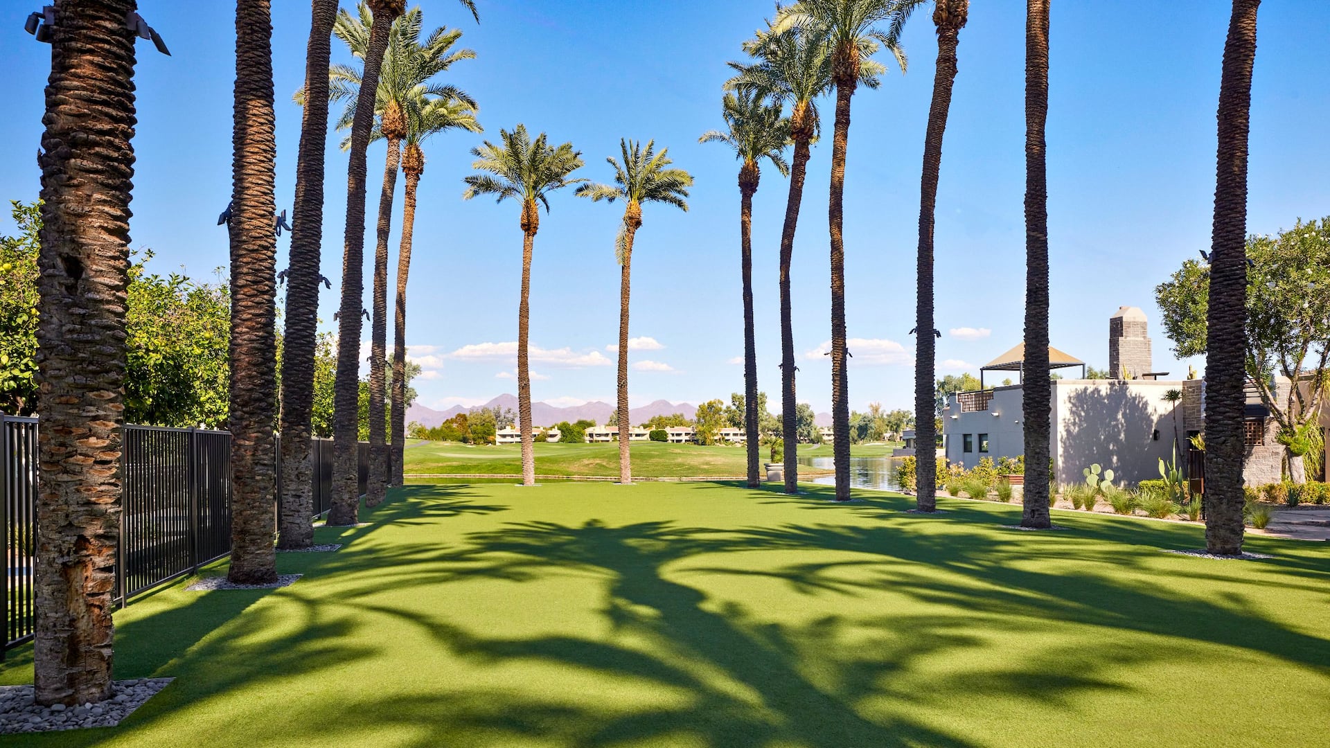 2 of 6 Grand Hyatt Scottsdale Resort Palm Grove Empty
