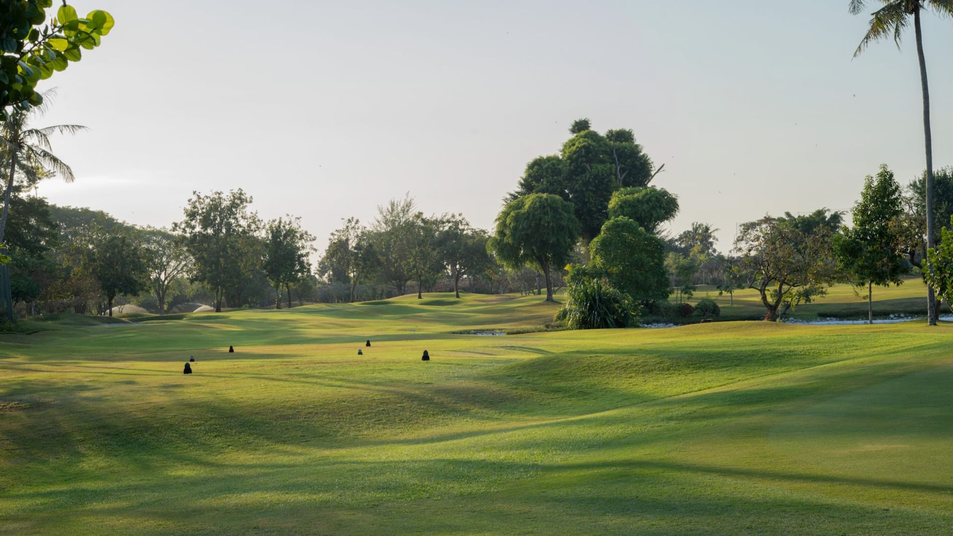 Hyatt Regency Yogyakarta Golf Course In The Afternoon