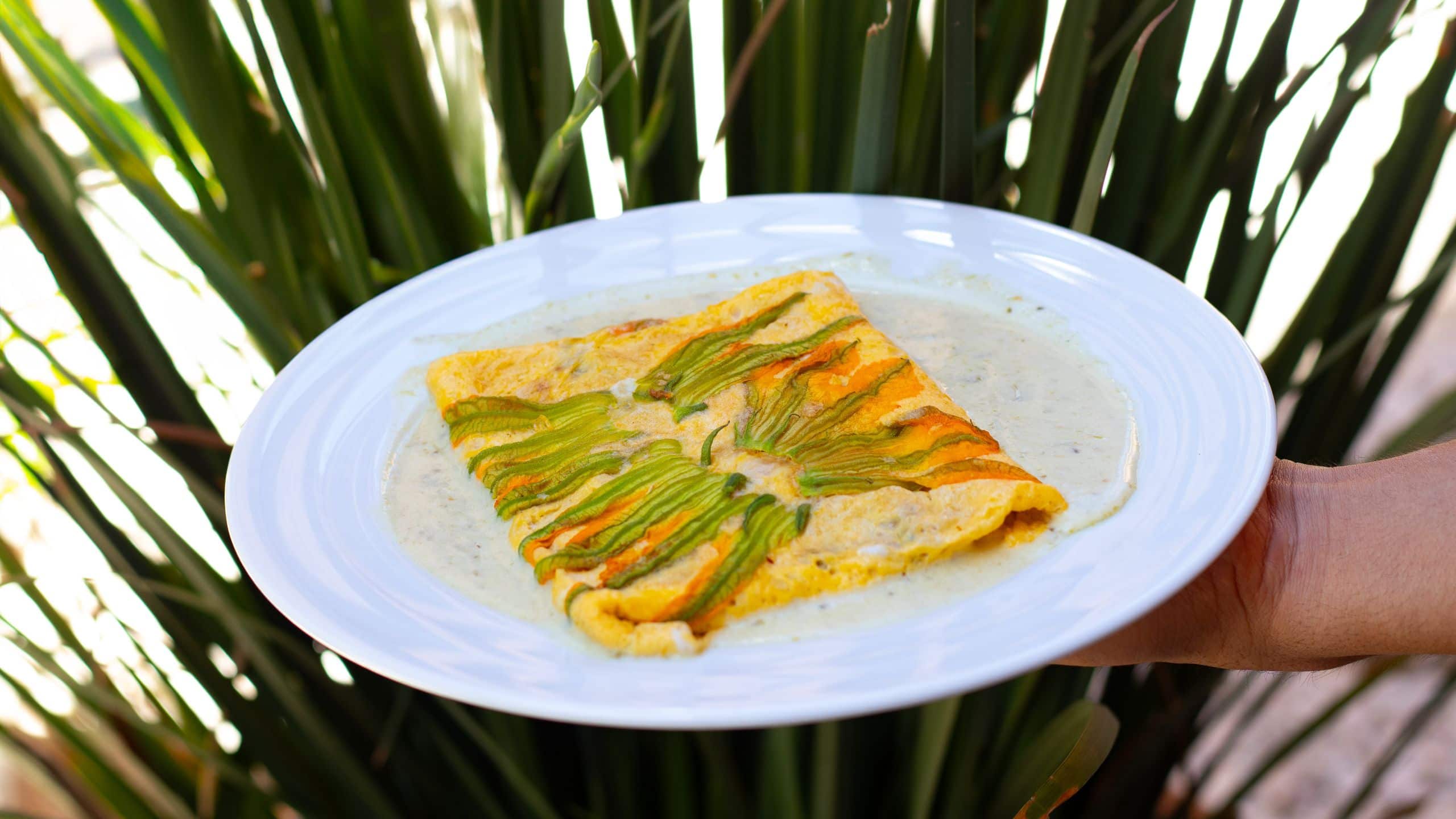 Hyatt Centric Campestre León Breakfast Holding An Omelet Dish