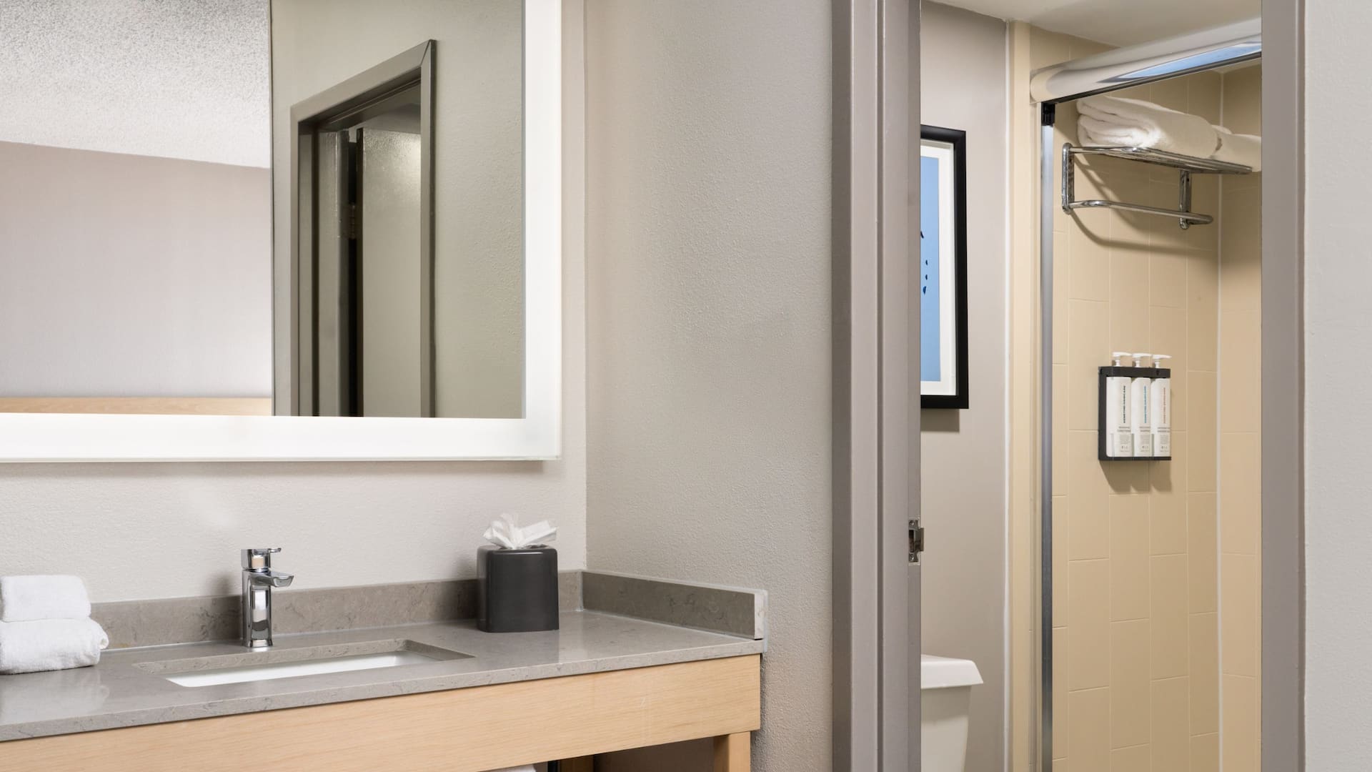 Hyatt Place Richmond/Innsbrook King Bedroom Bathroom