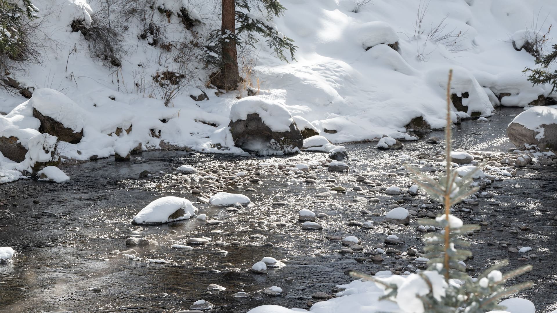 Grand Hyatt Vail Snow Covered Banks of Gore Creek