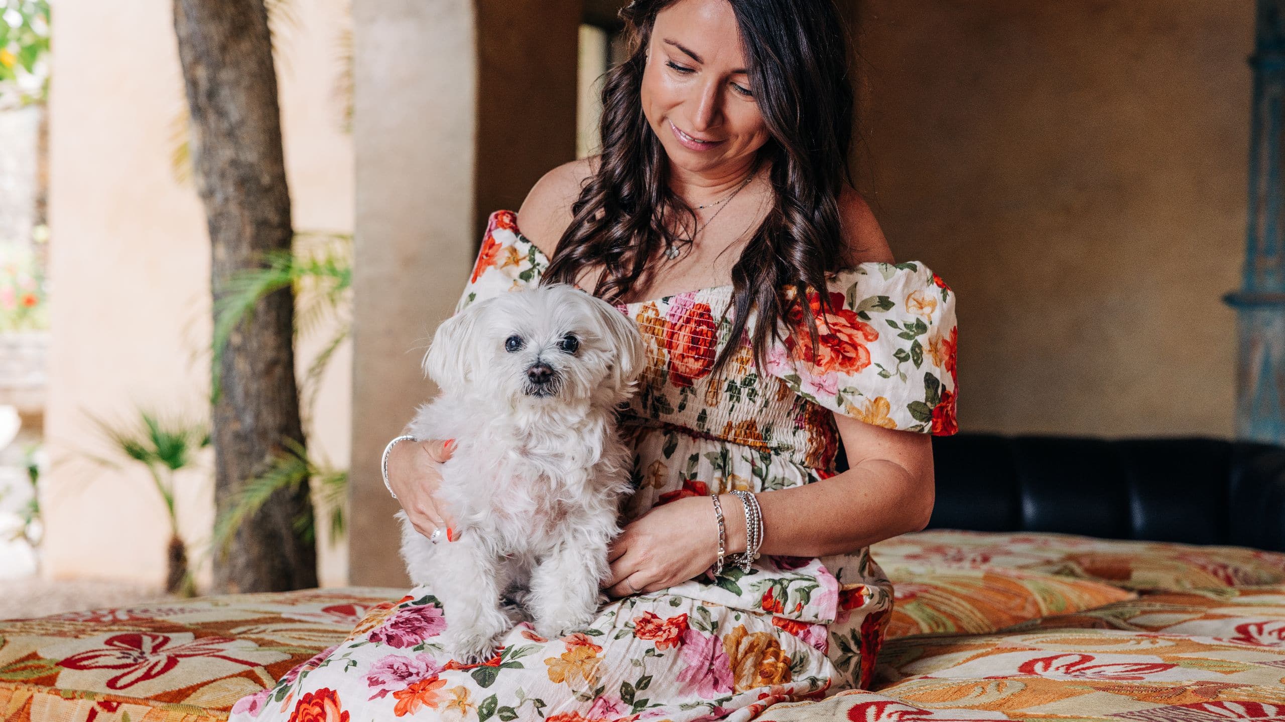 Royal Palms Resort and Spa Dog Photos With Guest On Pillow Benches