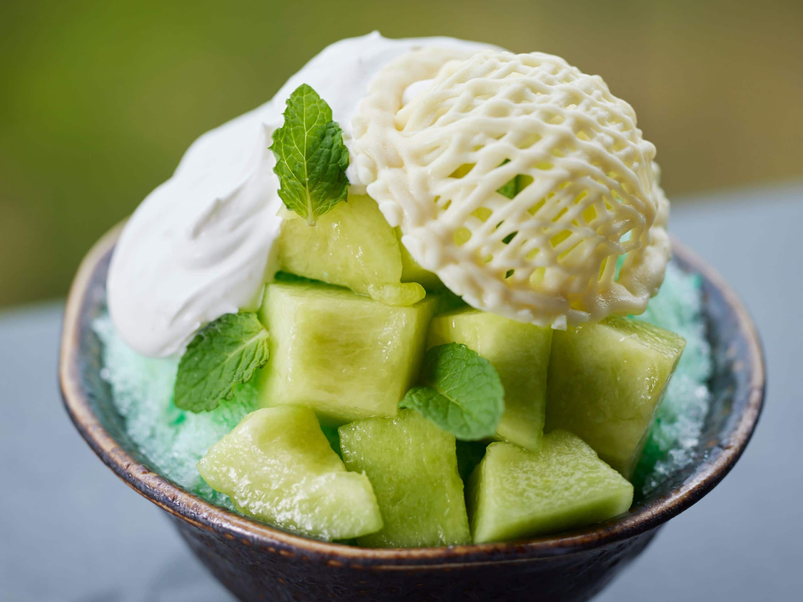 Fuji Speedway Hotel Trofeo Lounge Shaved Ice Melon