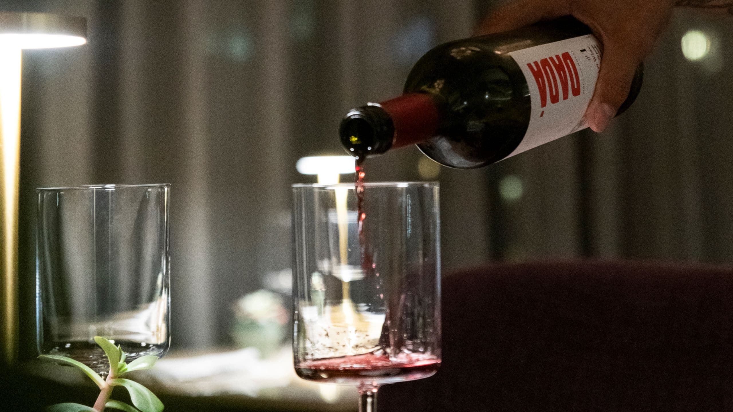 Hyatt Centric San José Escazú Cense Restaurant Wine