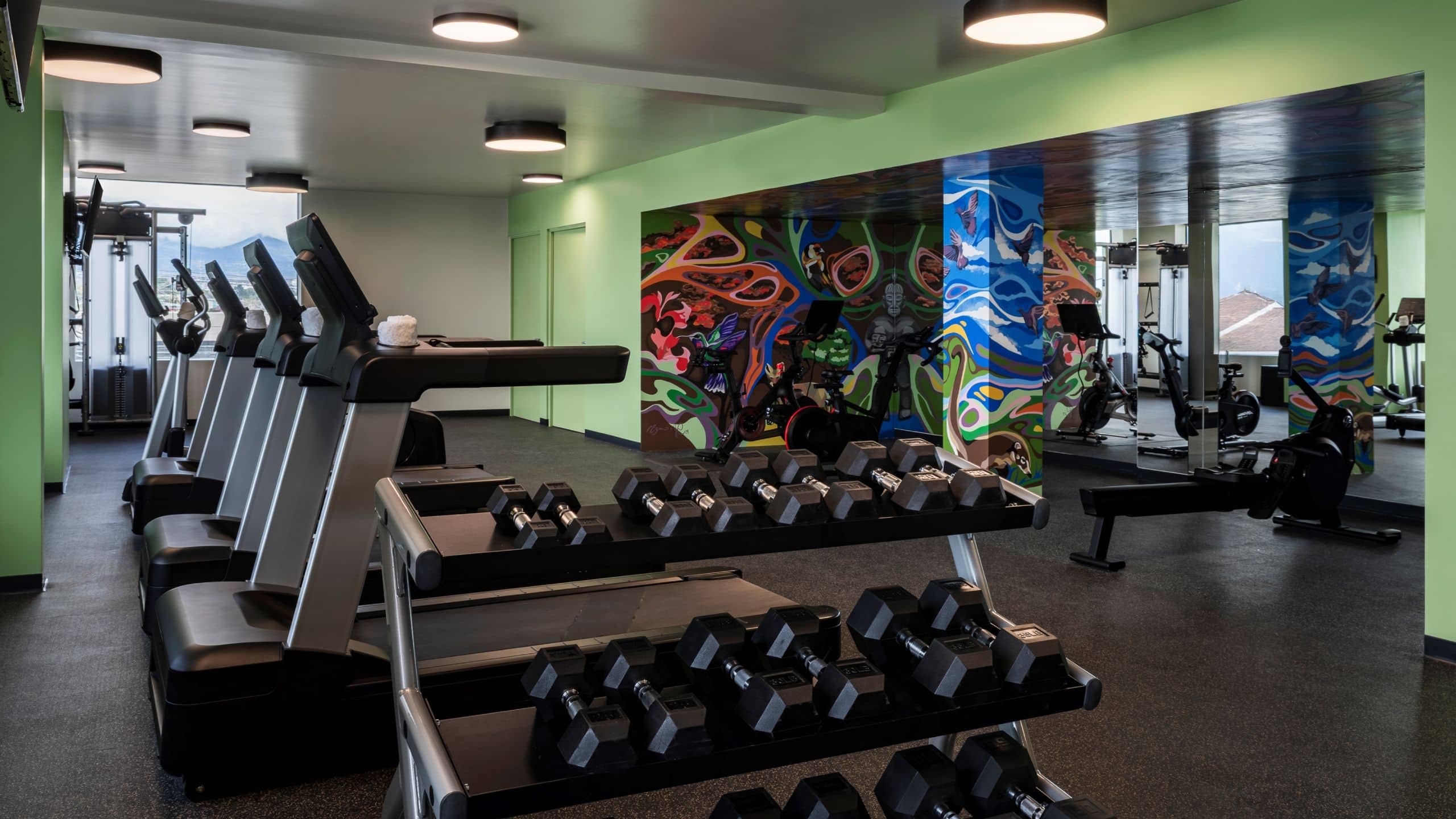 Hyatt Centric San José Escazú Fitness Room Area