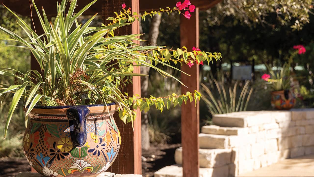Grounds Plants