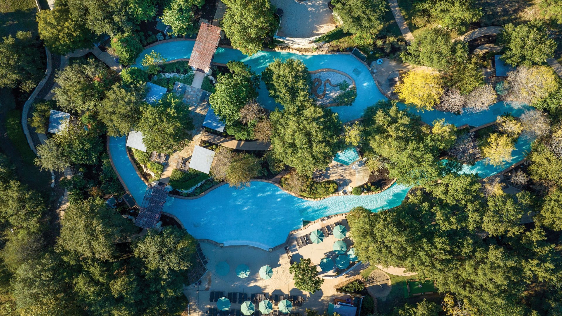 Pool Trees Drone