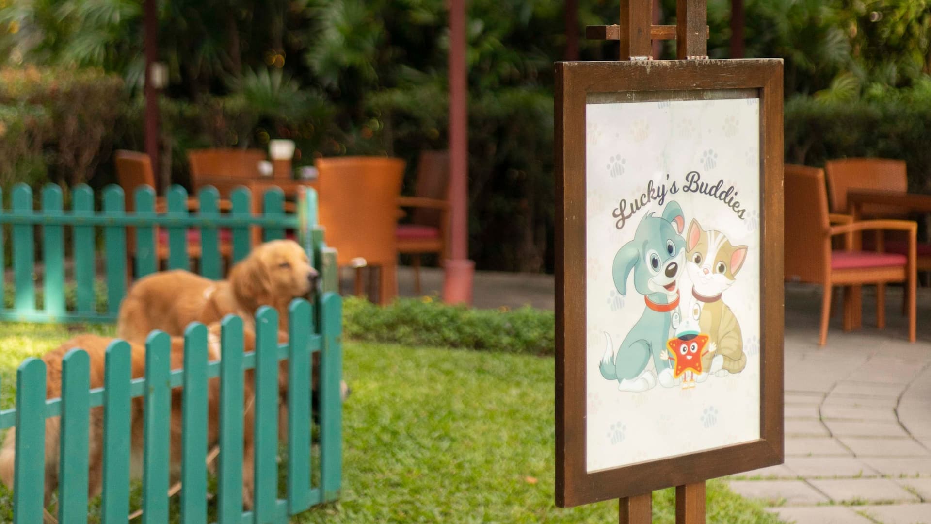 Hyatt Regency Hua Hin Ped Daycare