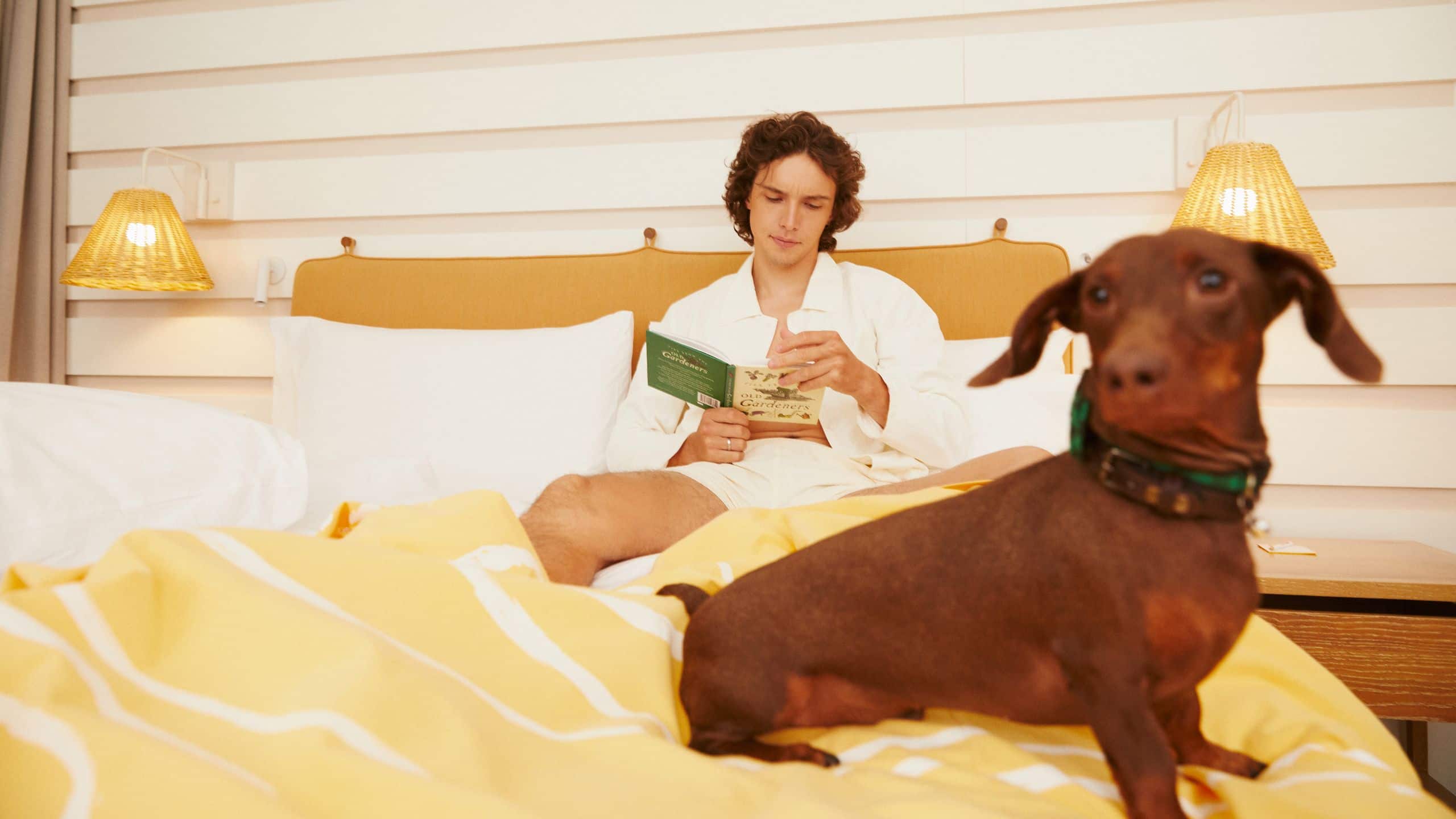 The Standard, Hua Hin Guestroom Dog Lifestyle