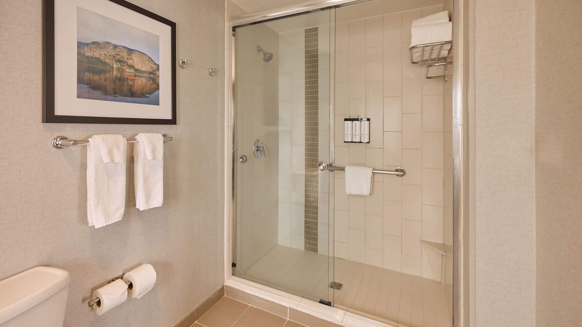 Hyatt Place Portland Downtown-Old Port Square Bathroom Walk In Shower