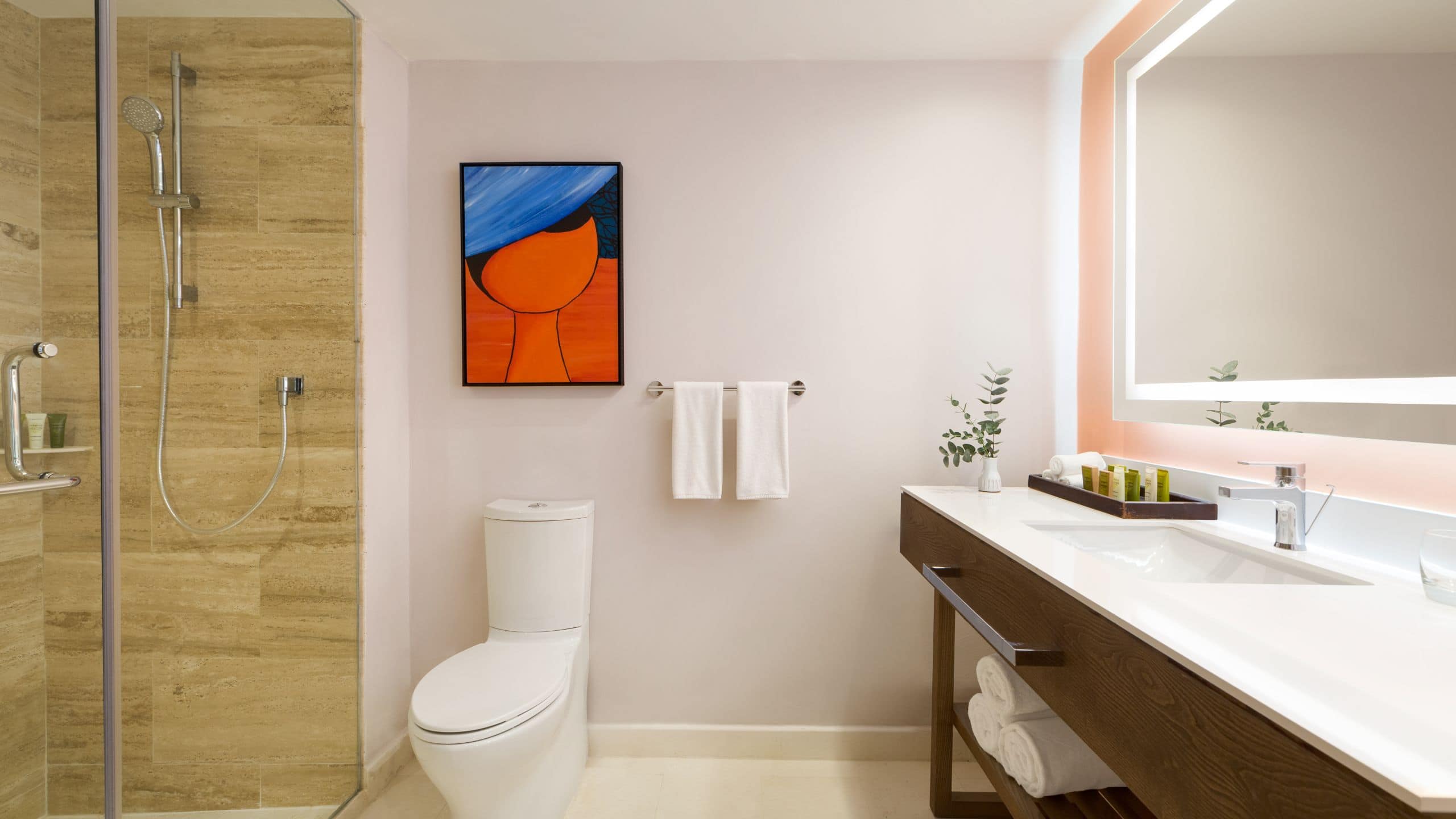 2/2 Dreams La Romana Deluxe Garden View Bathroom