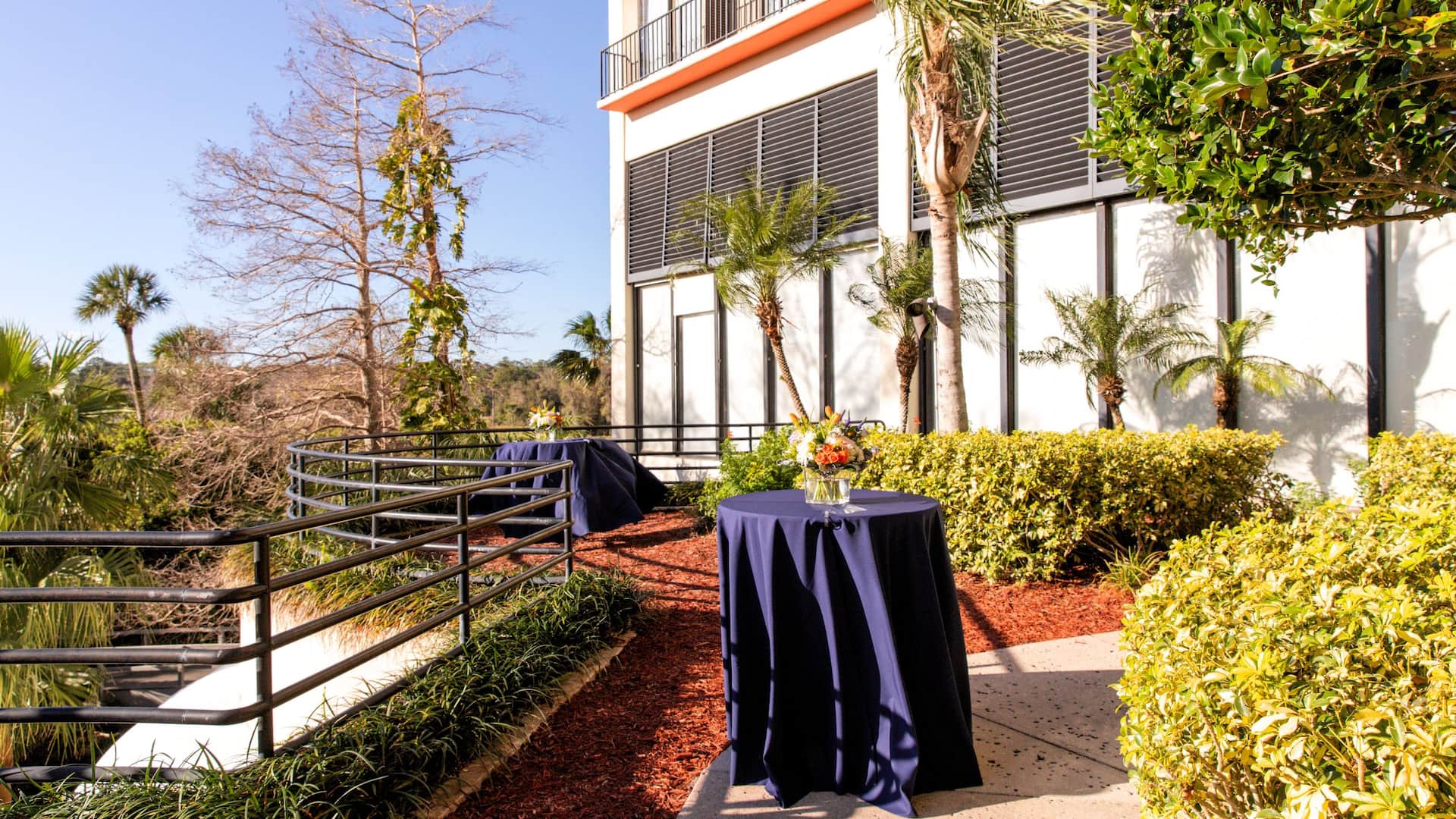 Hyatt Regency Grand Cypress Resort Poolview Overlook Reception