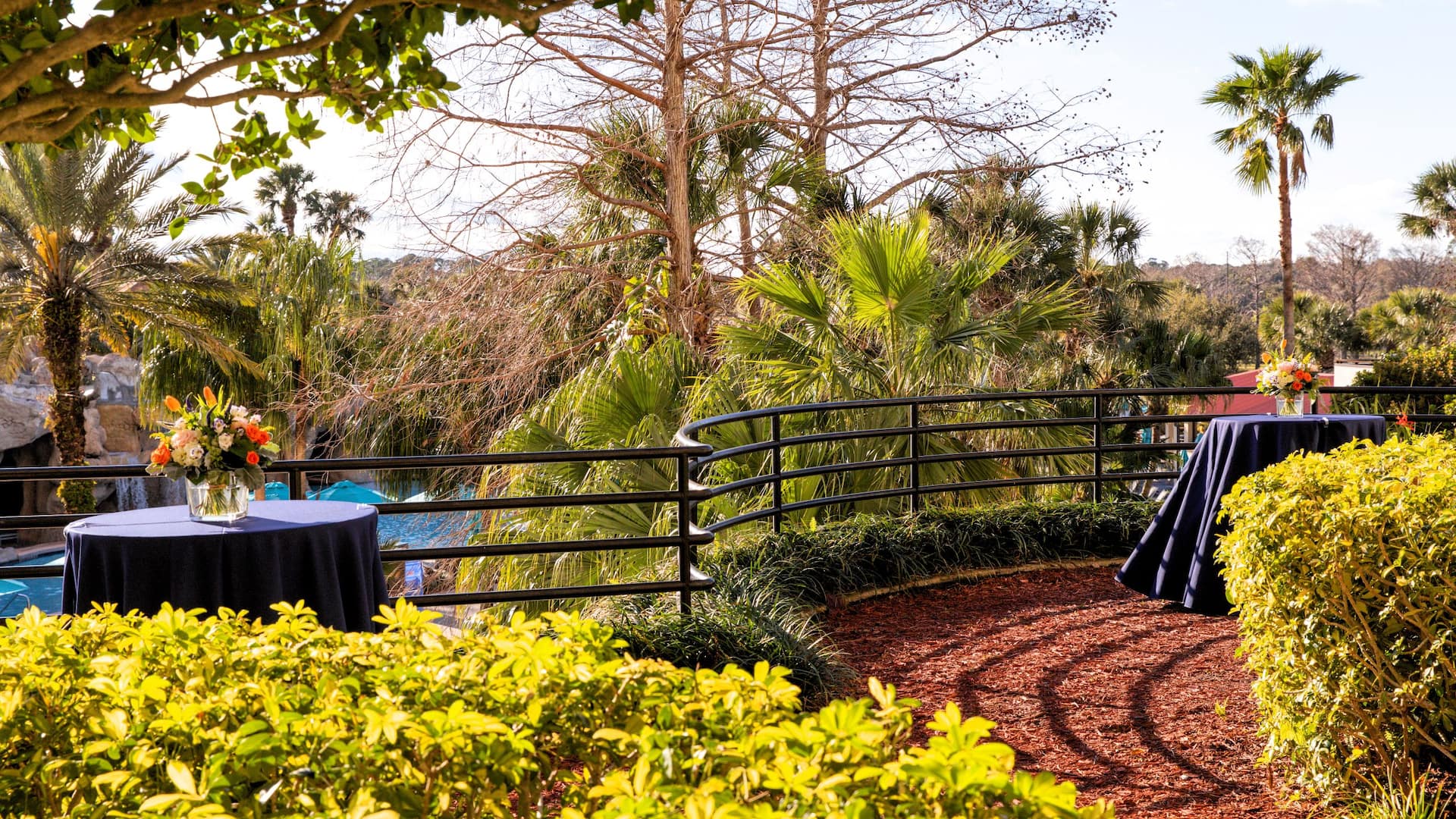 Hyatt Regency Grand Cypress Resort Poolview Overlook