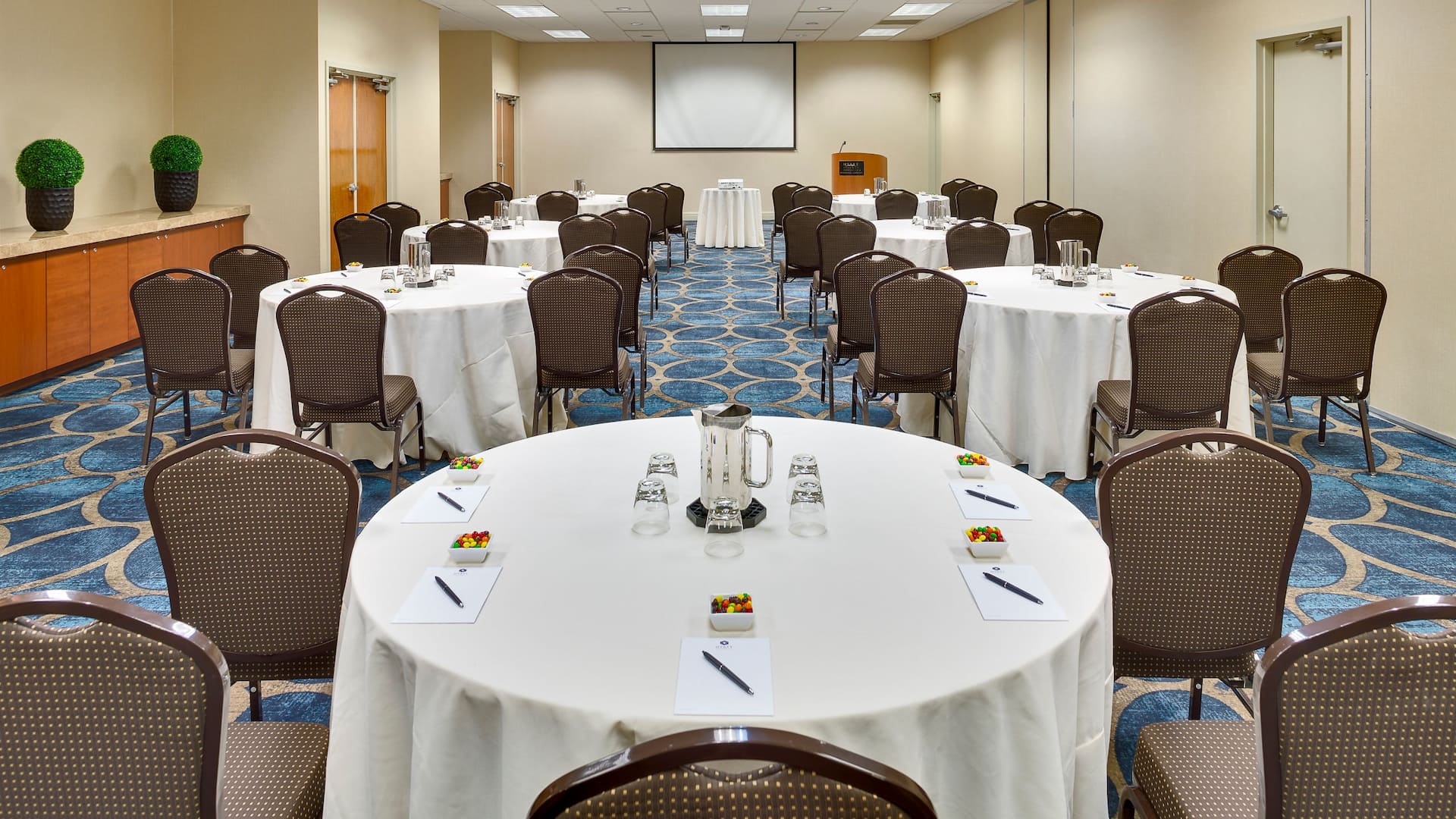 1 of 1 Hyatt Regency Greenville Redbud