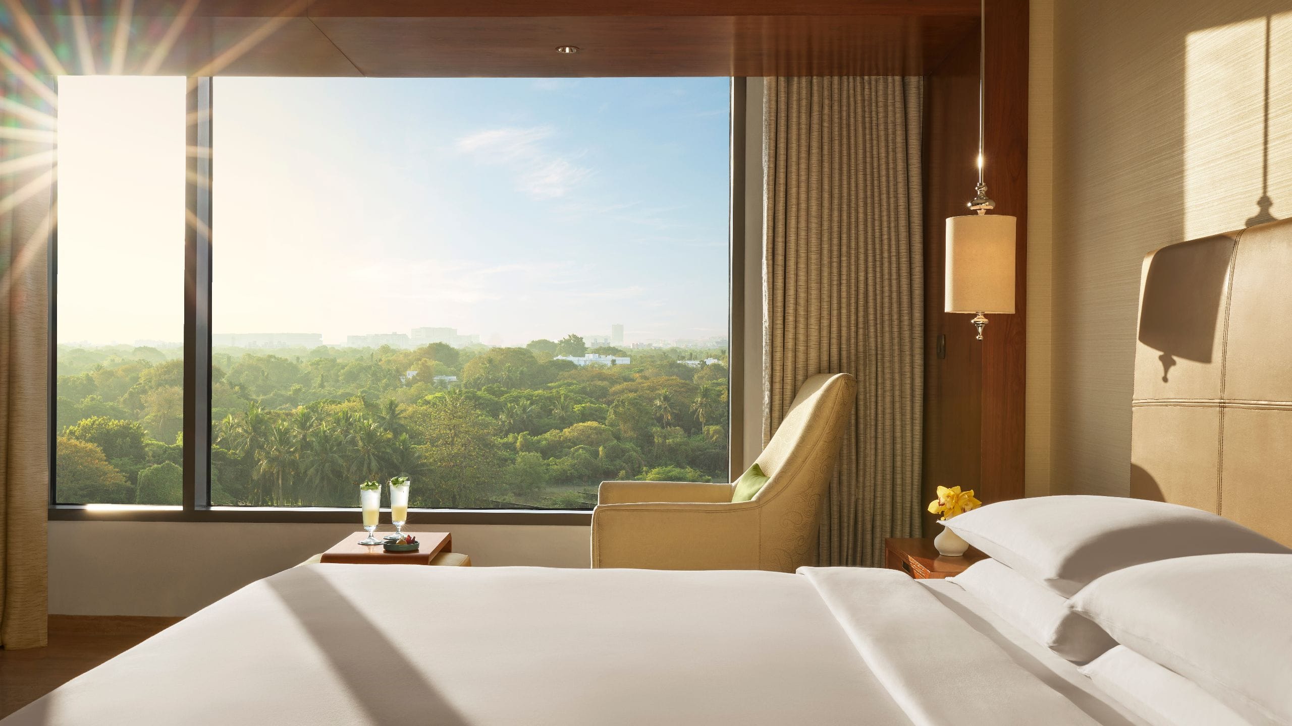 Park Hyatt Chennai Standard Room Sunlight