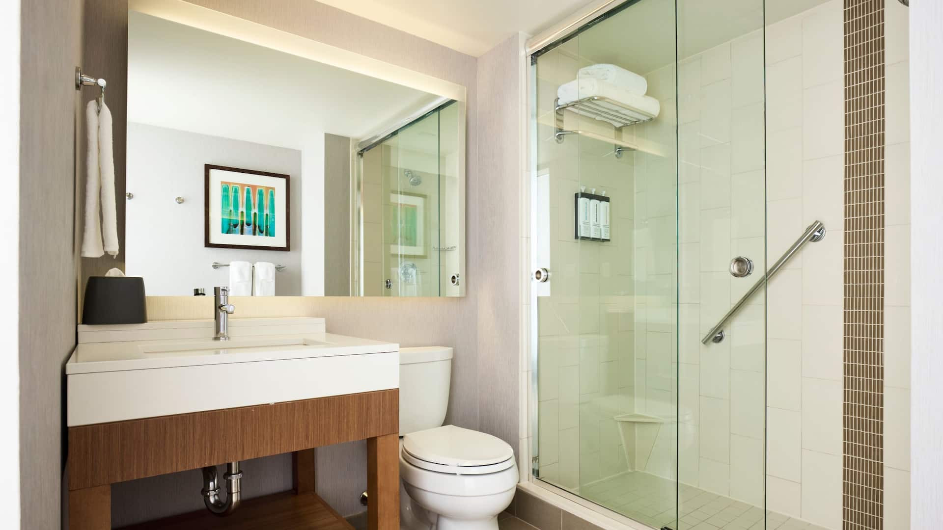 3 de 4 Hyatt Place New York/Yonkers King Bed Bathroom