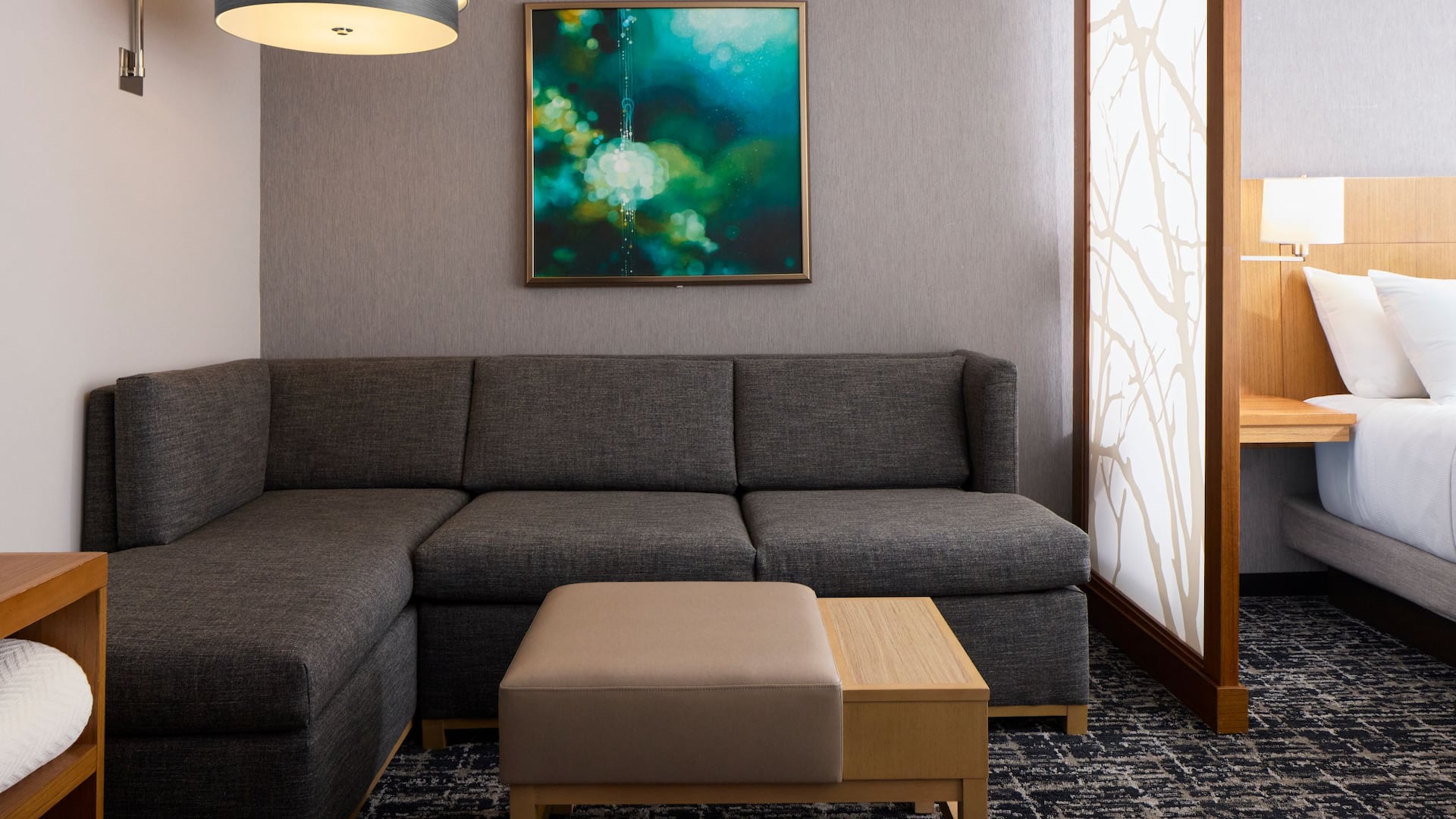 Hyatt Place New York/Yonkers King Bed With Sofa Couch Straight