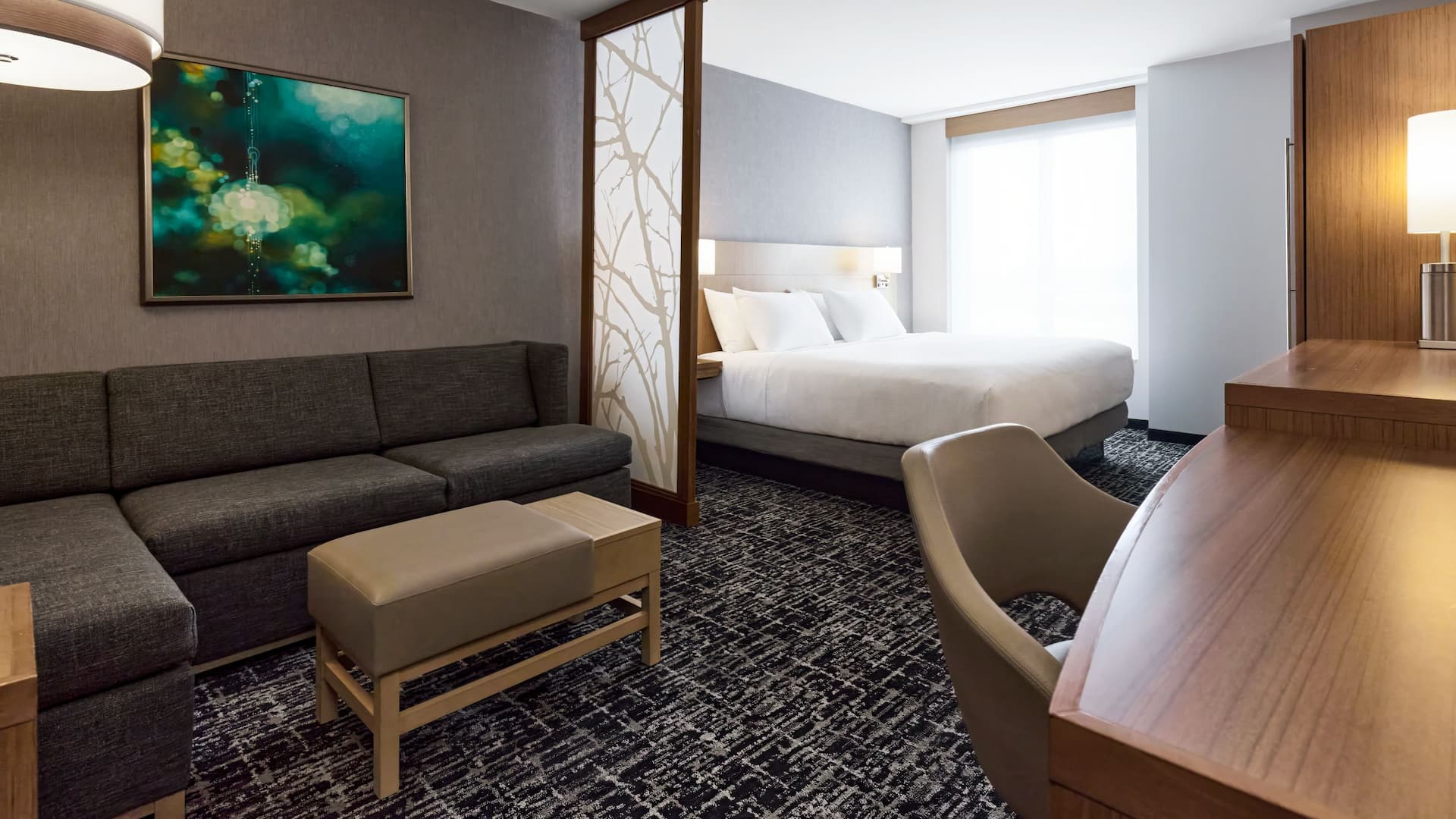 Hyatt Place New York/Yonkers King Bed With Sofa Overall