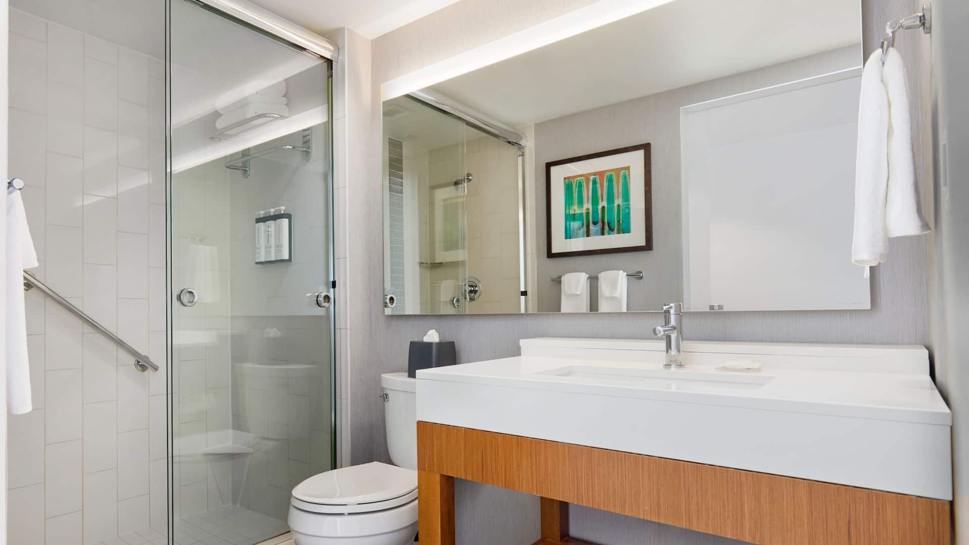 5 de 6 Hyatt Place New York/Yonkers One Bedroom Specialty Suite Bathroom
