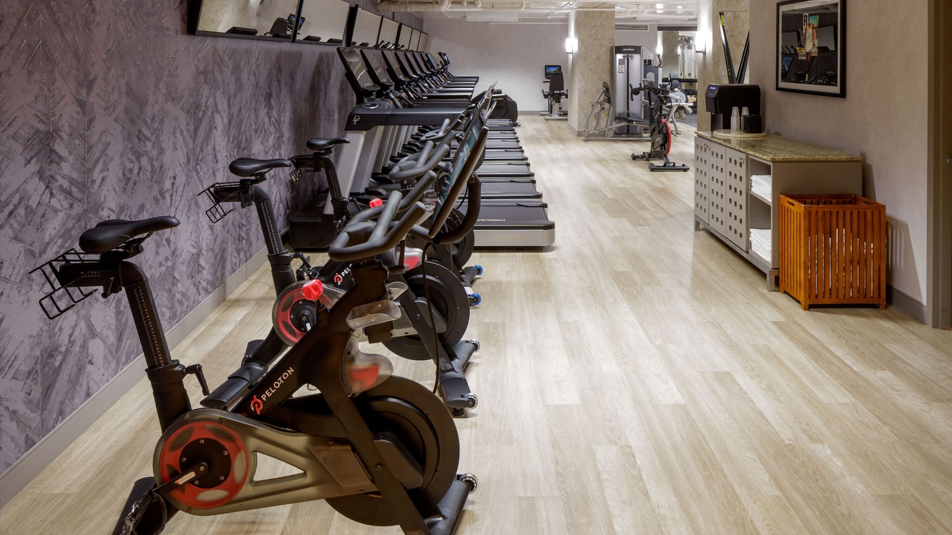 Hyatt Regency Reston Fitness Center Cardio