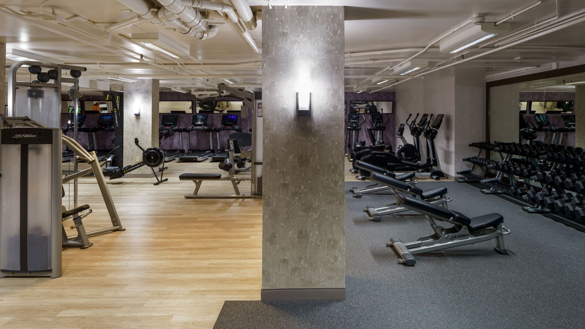 Hyatt Regency Reston Fitness Center Weights